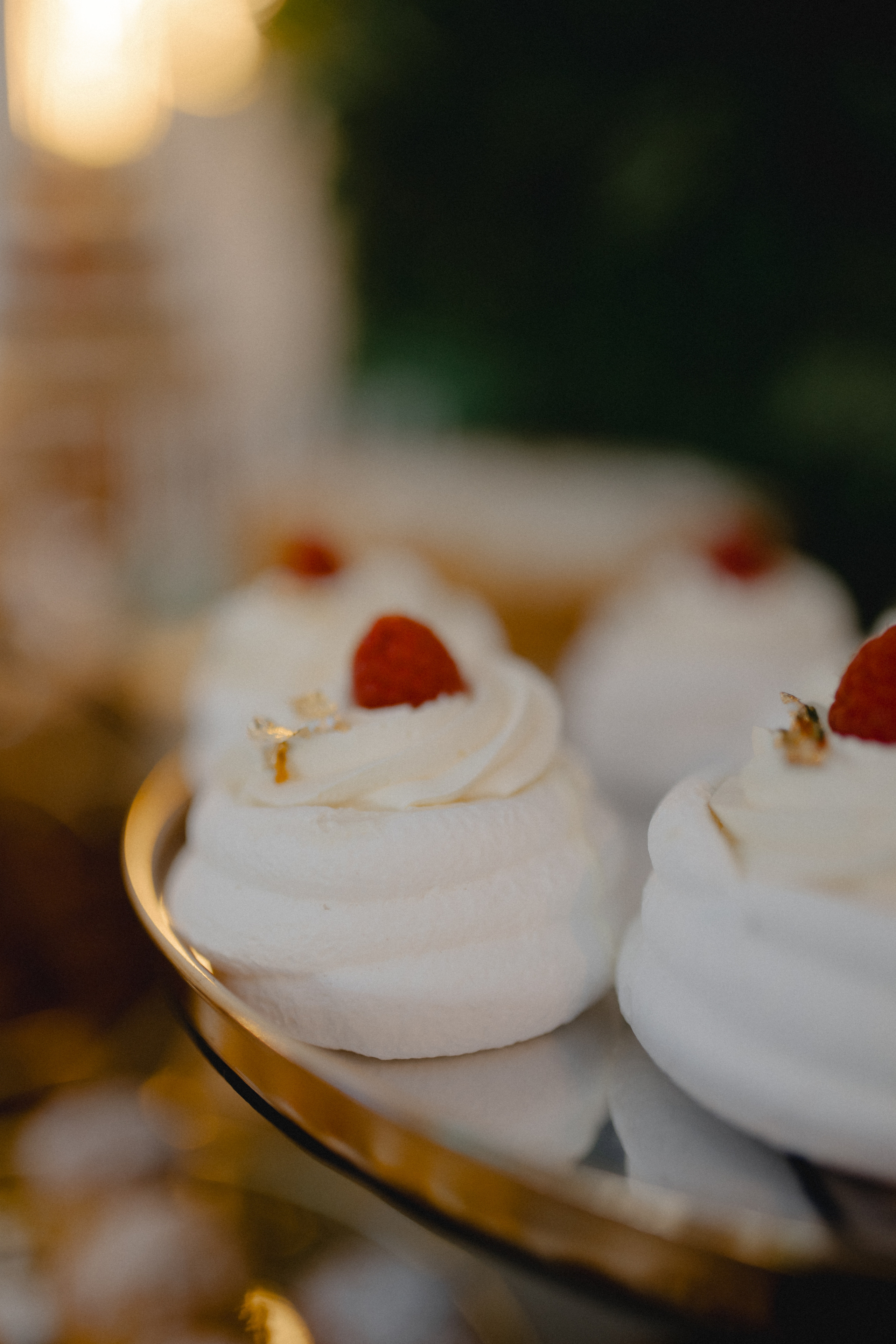 Villa Trevi Wedding near Timisoara. Wedding photographer and videographer based in Timisoara, Romania