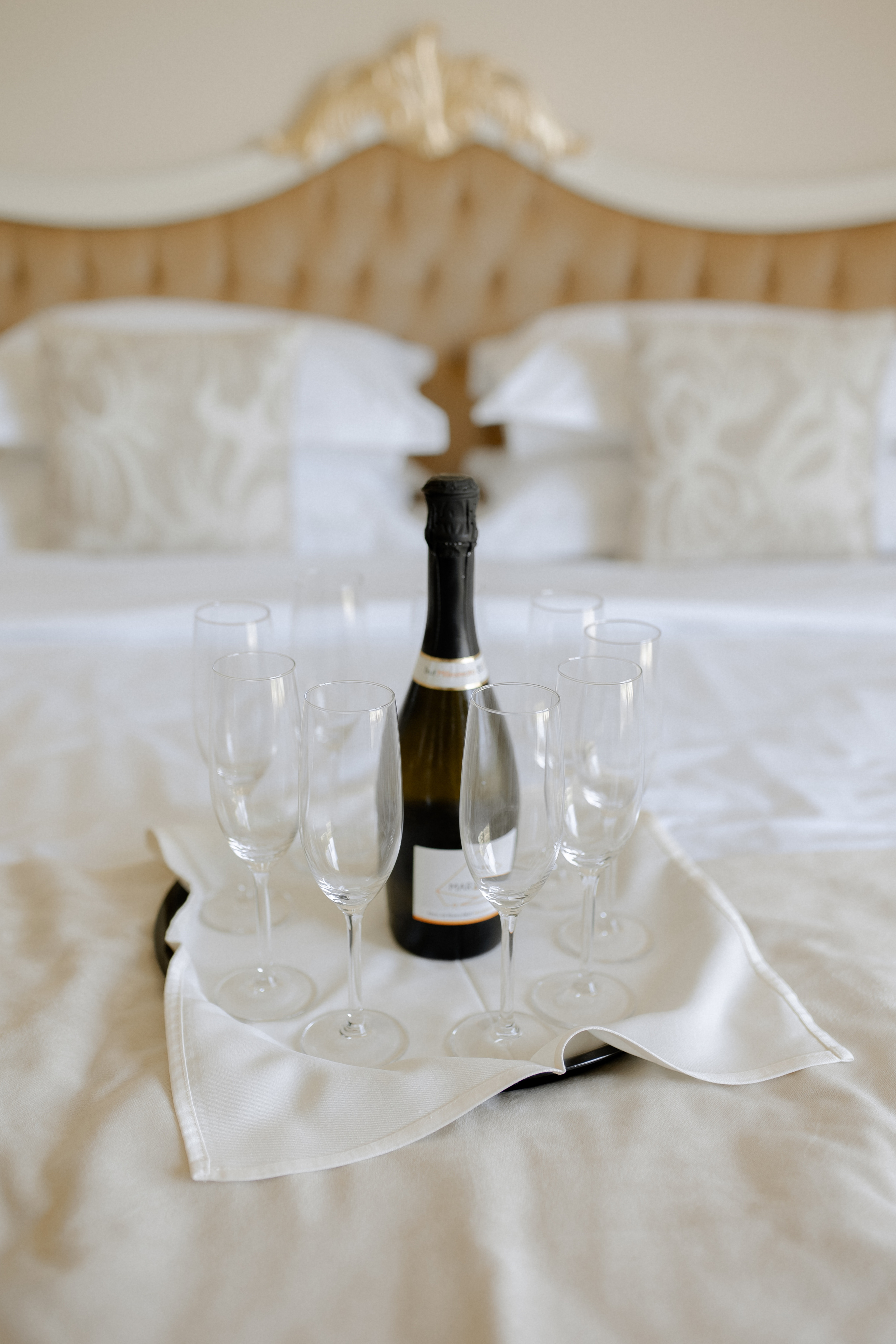 Villa Trevi Wedding near Timisoara. Wedding photographer and videographer based in Timisoara, Romania