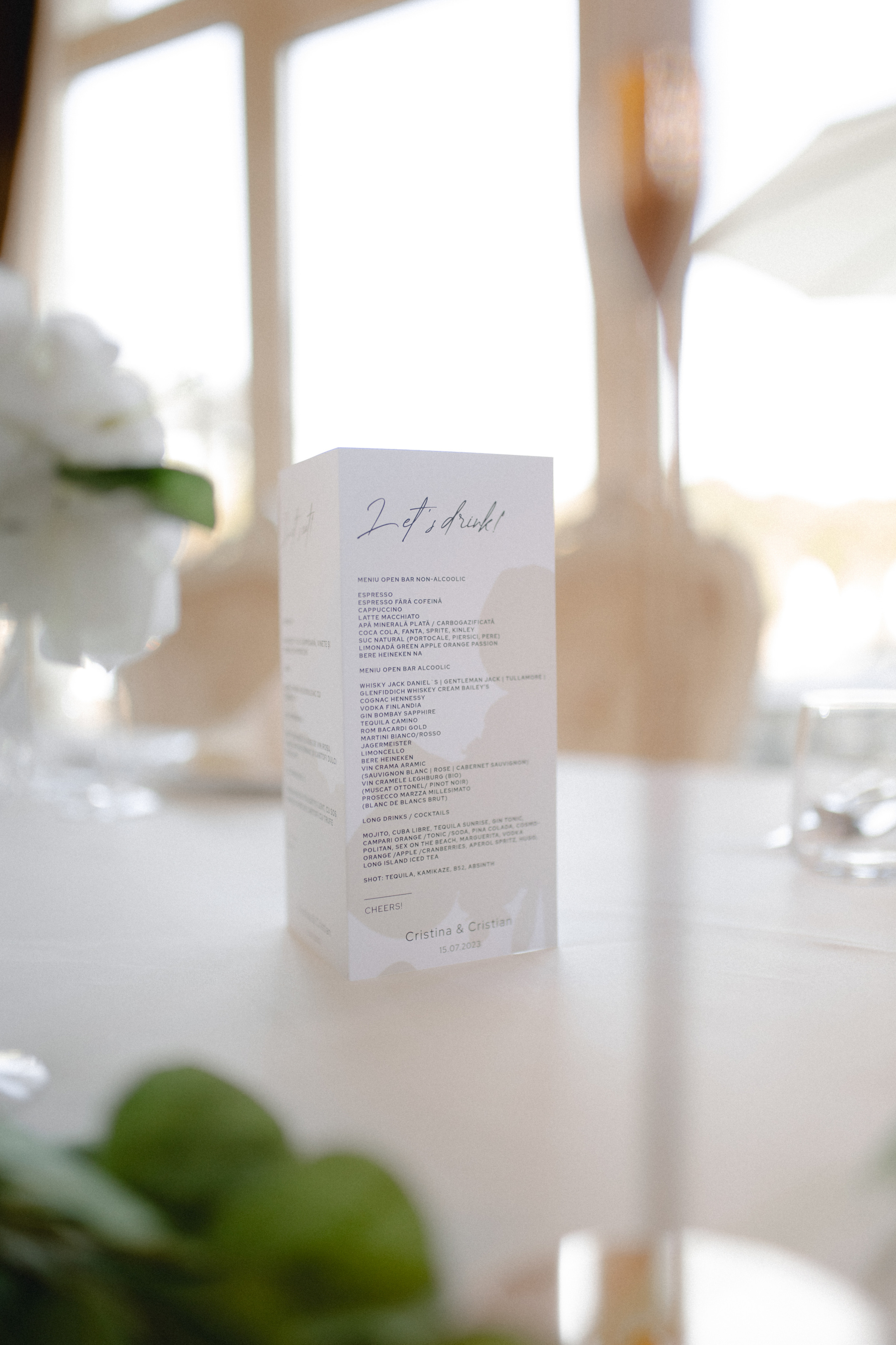 Villa Trevi Wedding near Timisoara. Wedding photographer and videographer based in Timisoara, Romania