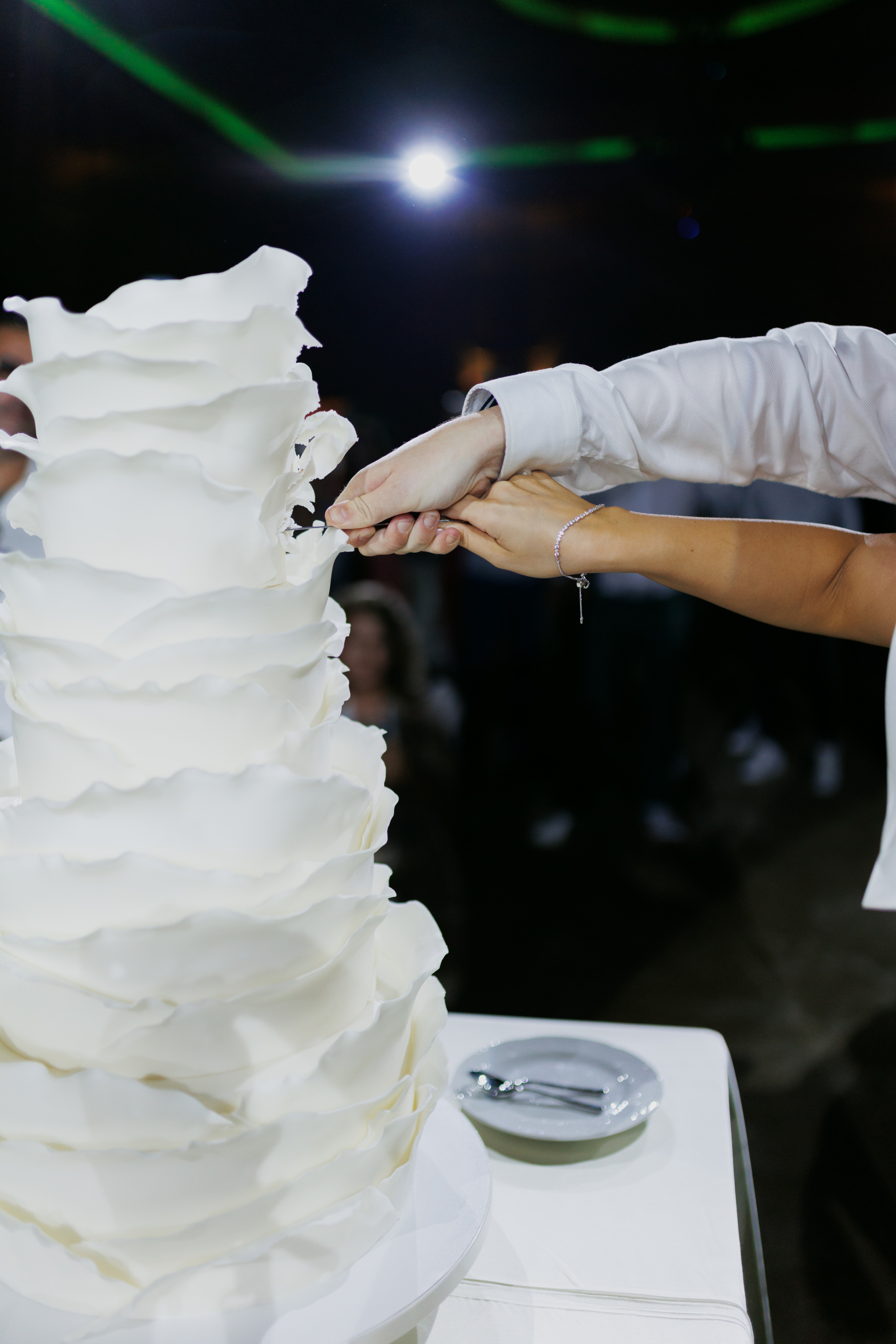 Villa Trevi Wedding near Timisoara. Wedding photographer and videographer based in Timisoara, Romania