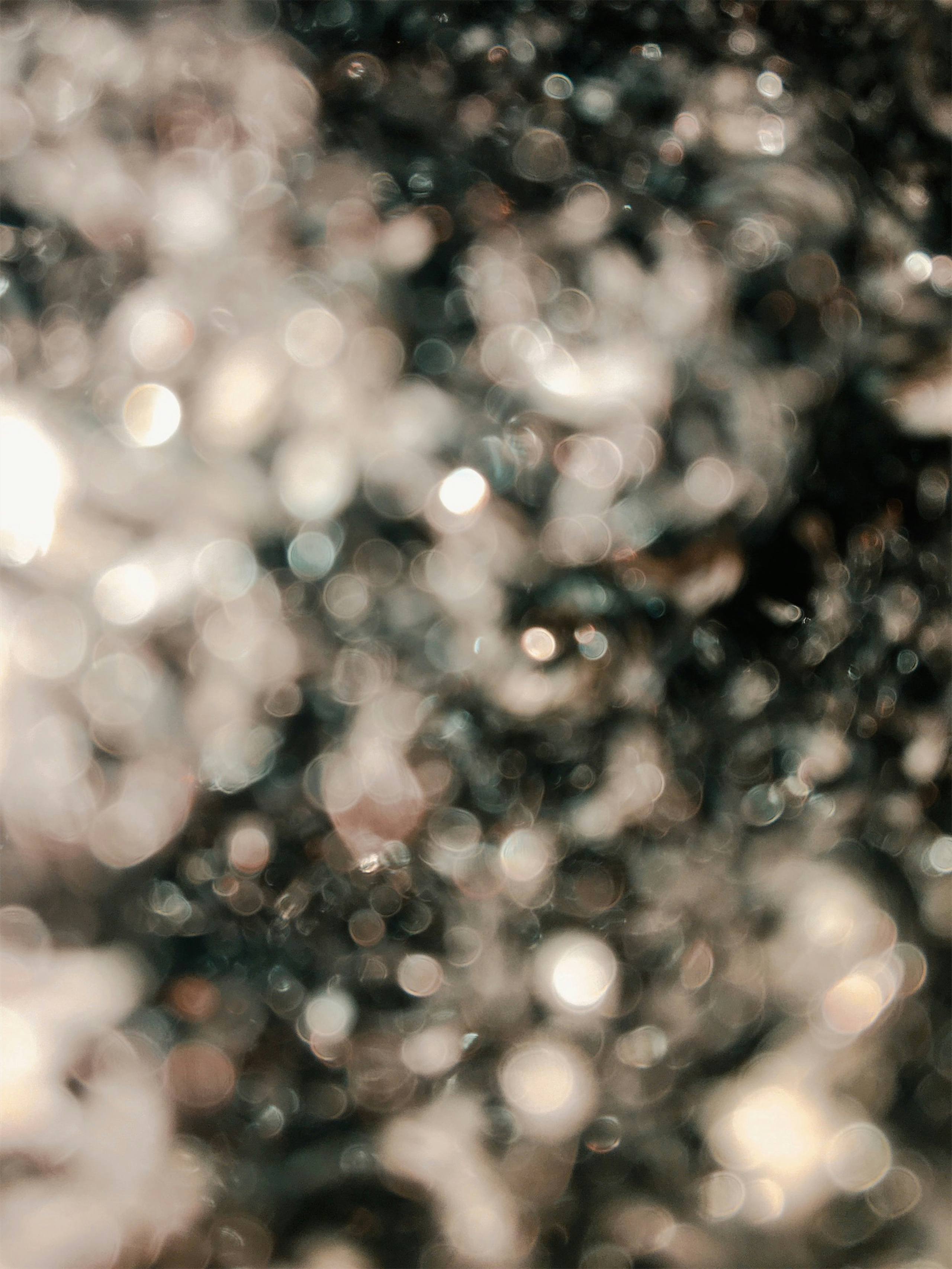 Divign By Tehilah — Meaningful Graphic Design & Photography