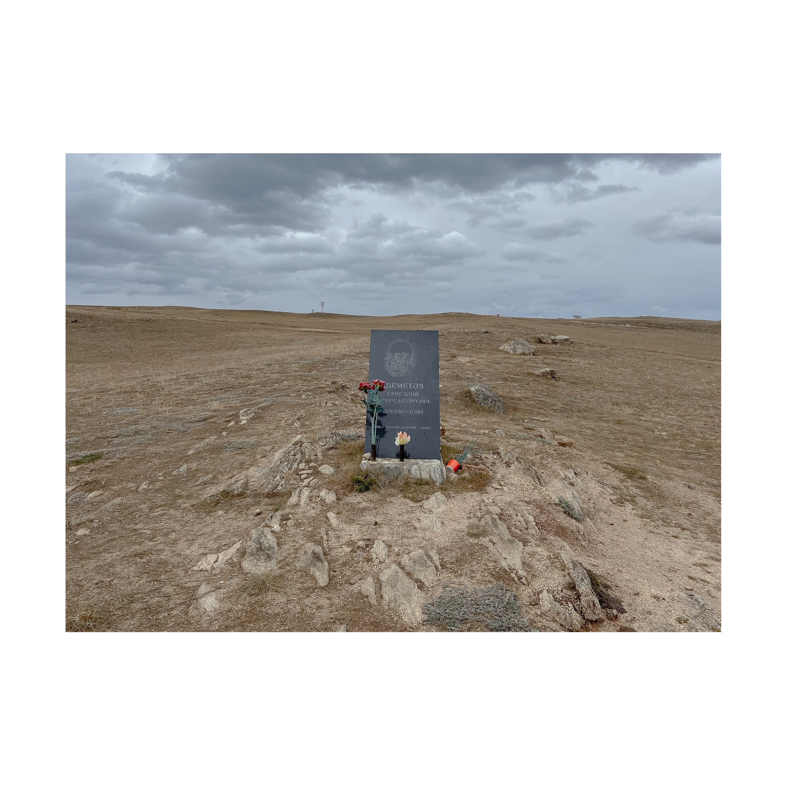 Phoenix. Nelly Elagina