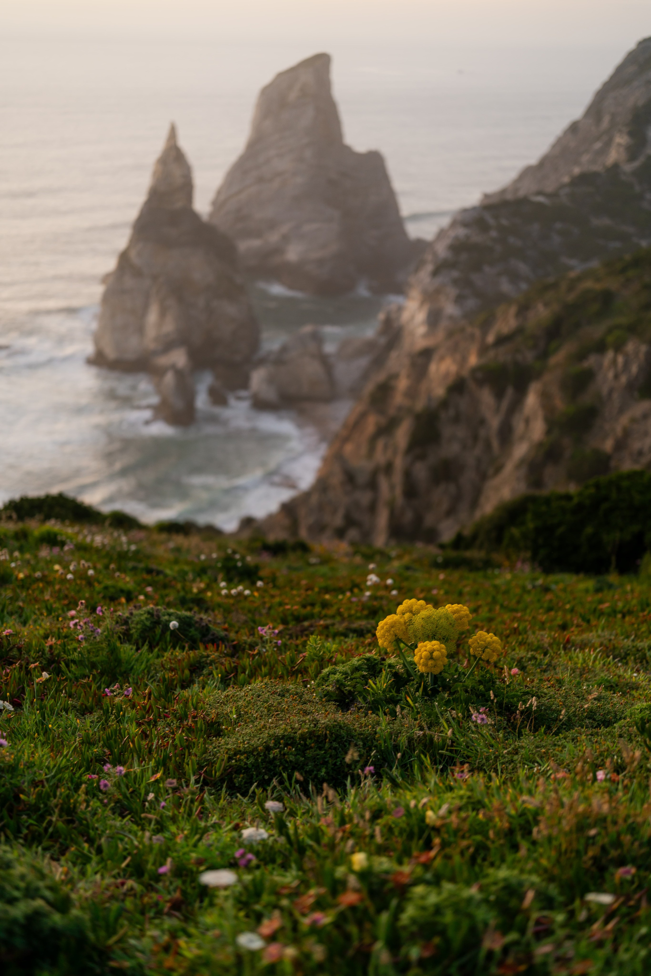 Mariana e Filipe — Praia da Ursa, Portugal wedding