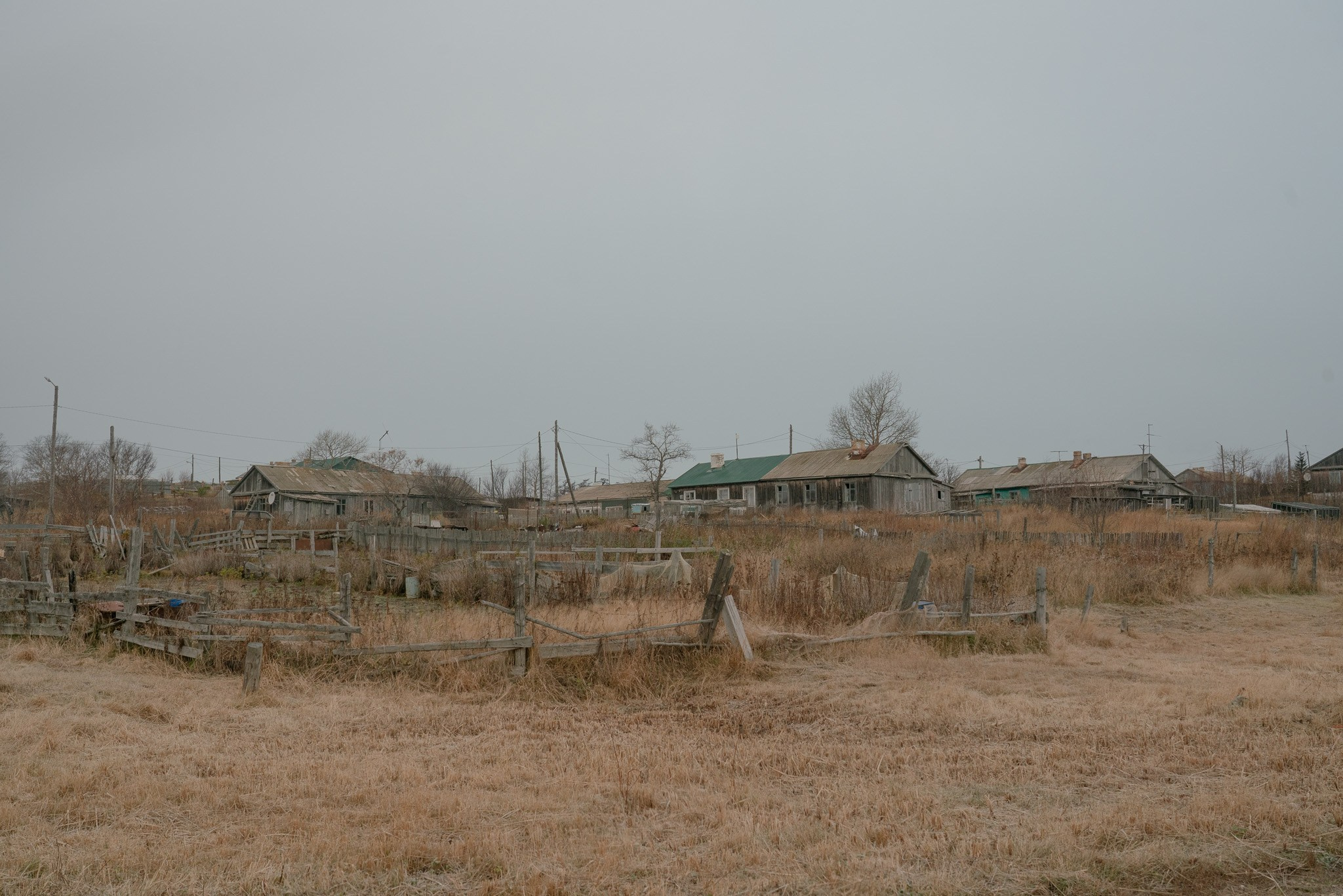 Disappearing people. Marina Sycheva