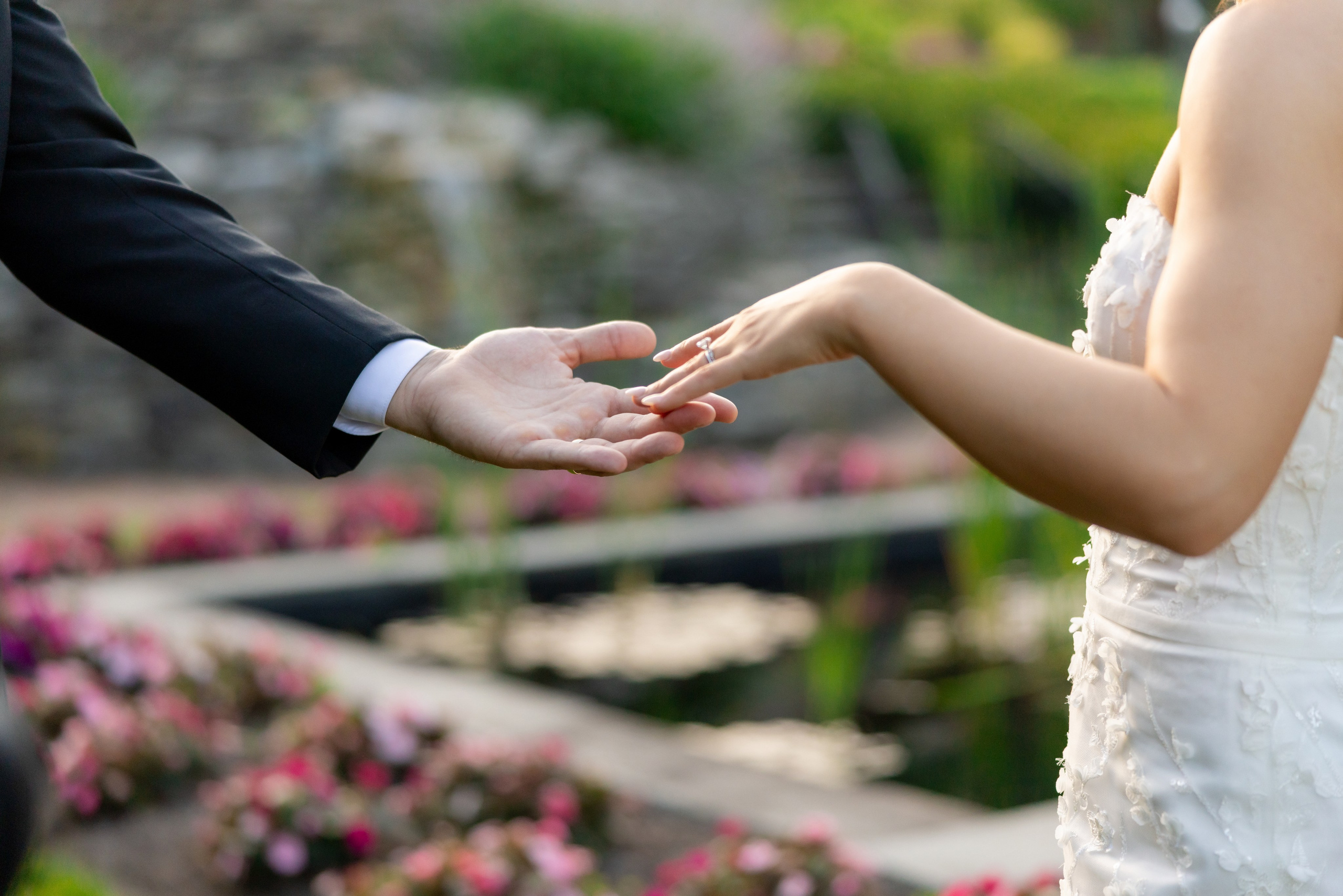 Wedding Photo & Video