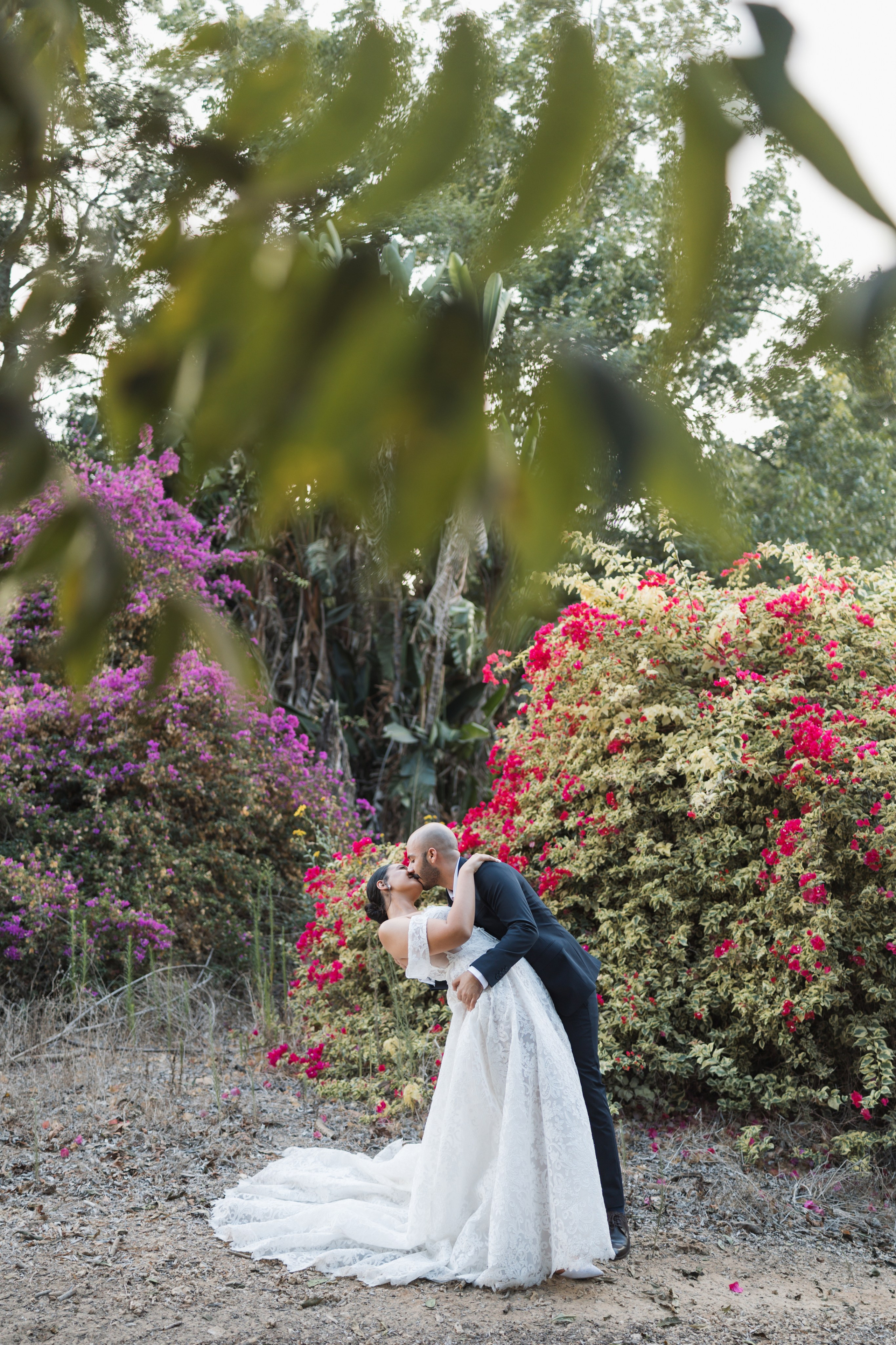 Noam Paradise Photographer