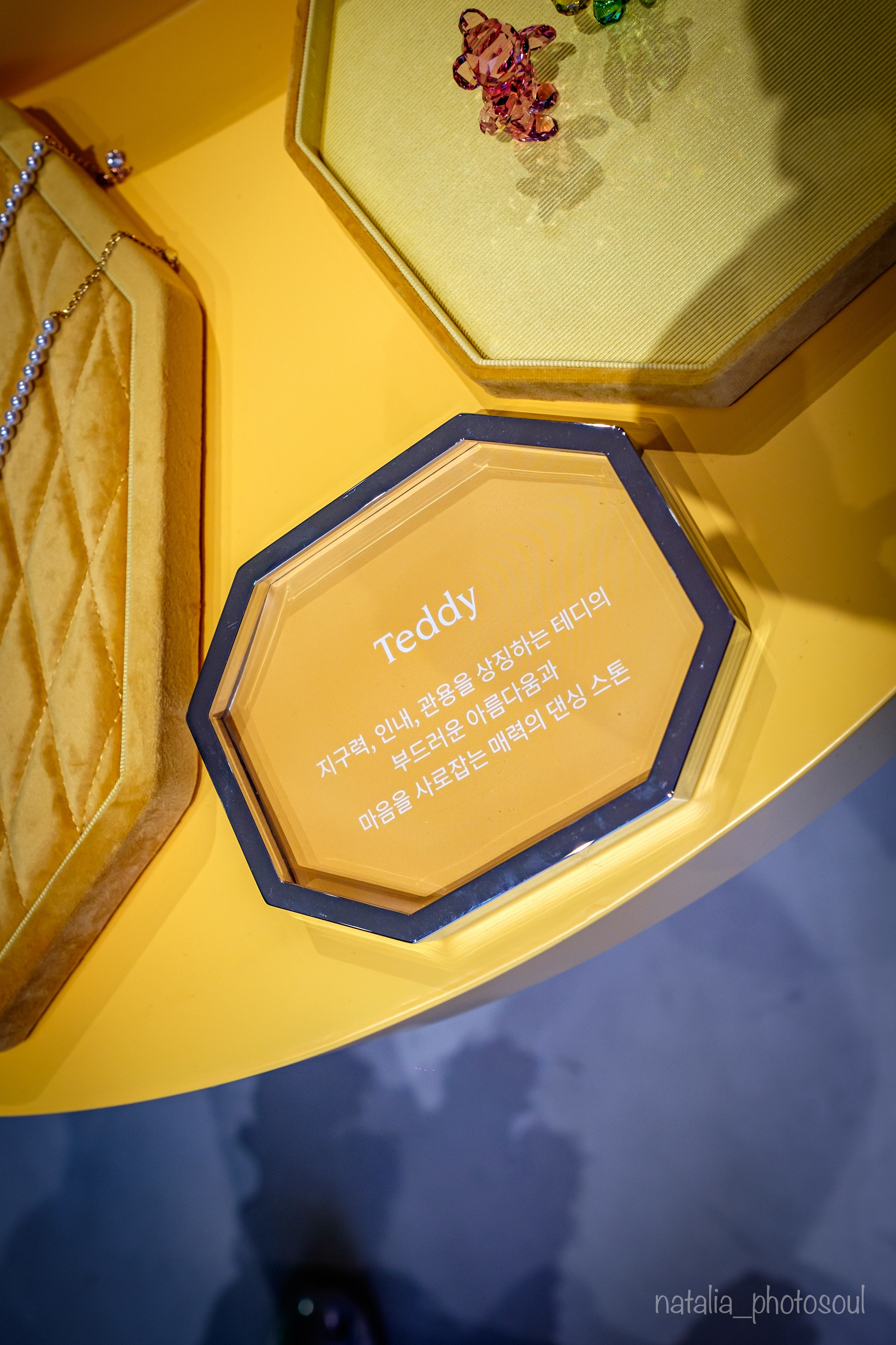 SWAROVSKI MASTERS OF LIGHT FROM VIENNA TO SEOUL. Photographer in Seoul Dobrokvashina Natalya