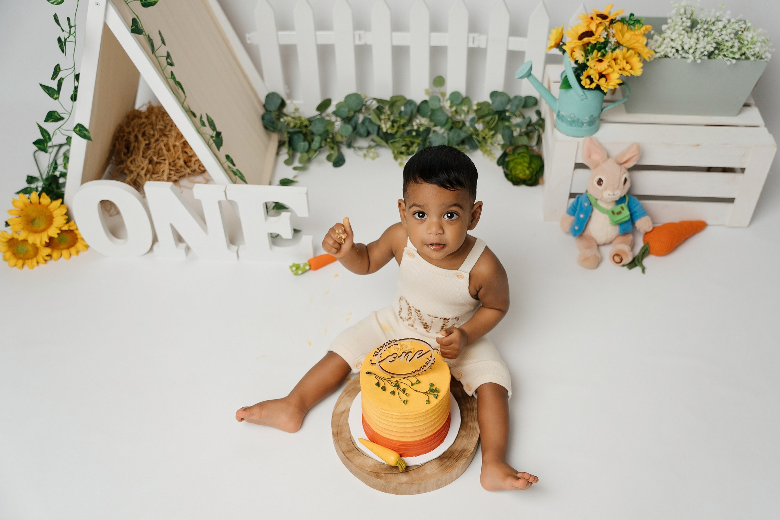 Peter rabbit cake smash session. Newborn and family photographer. Hills District. Sydney