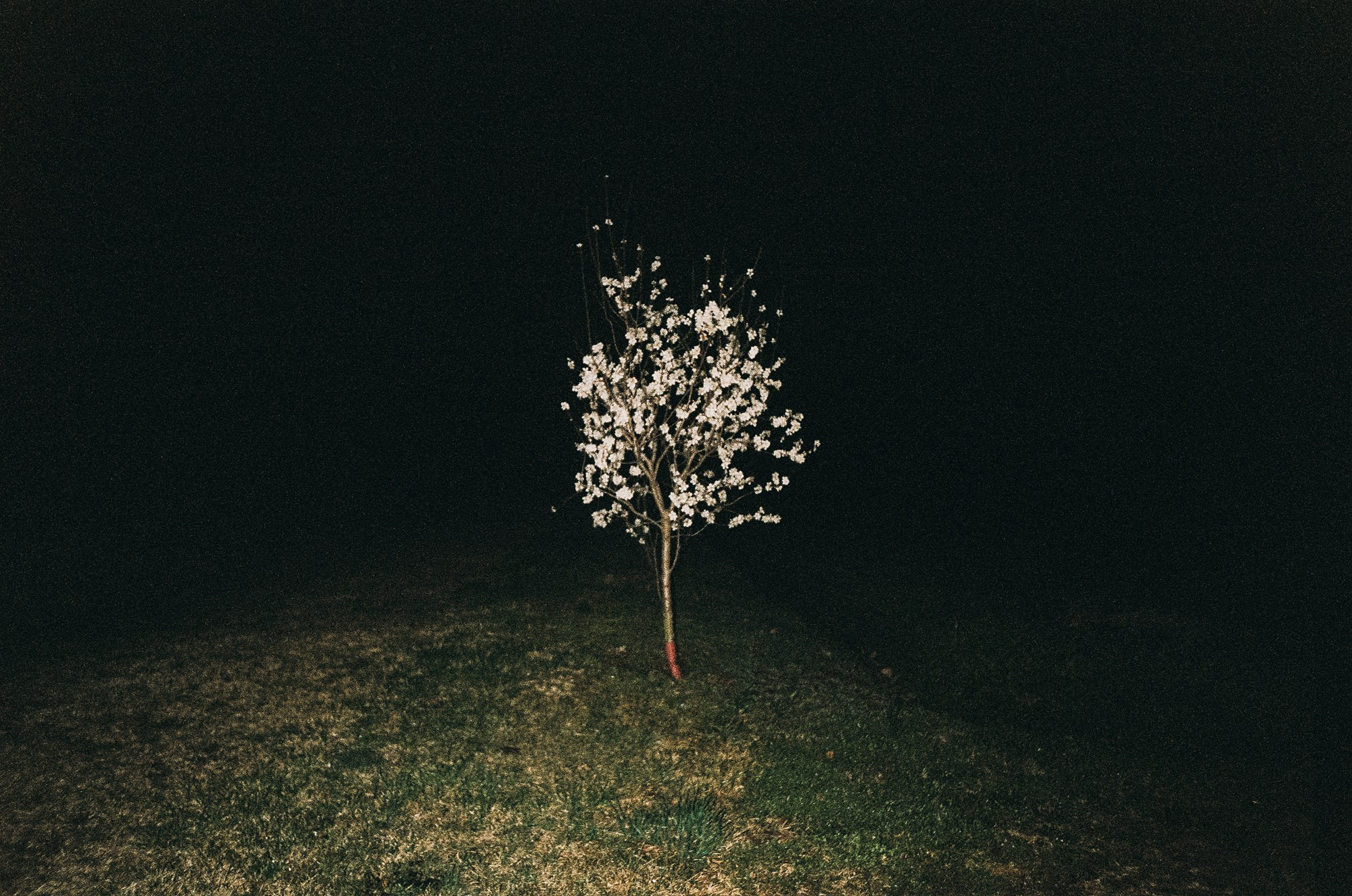 Projects. Photographer and visual artist Irina Vovk