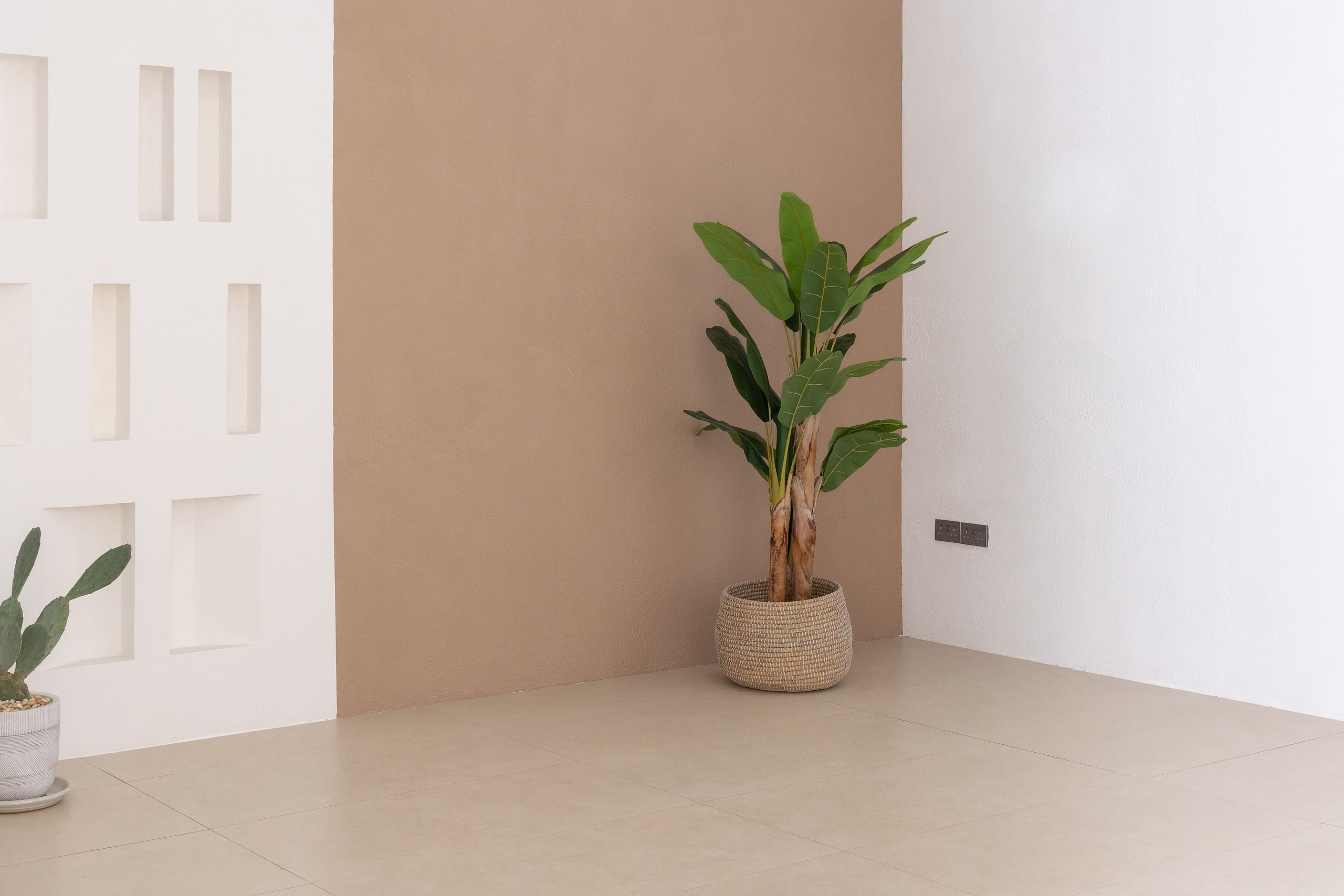 Rental. Dune Zone. Photo and video production in Dubai UAE