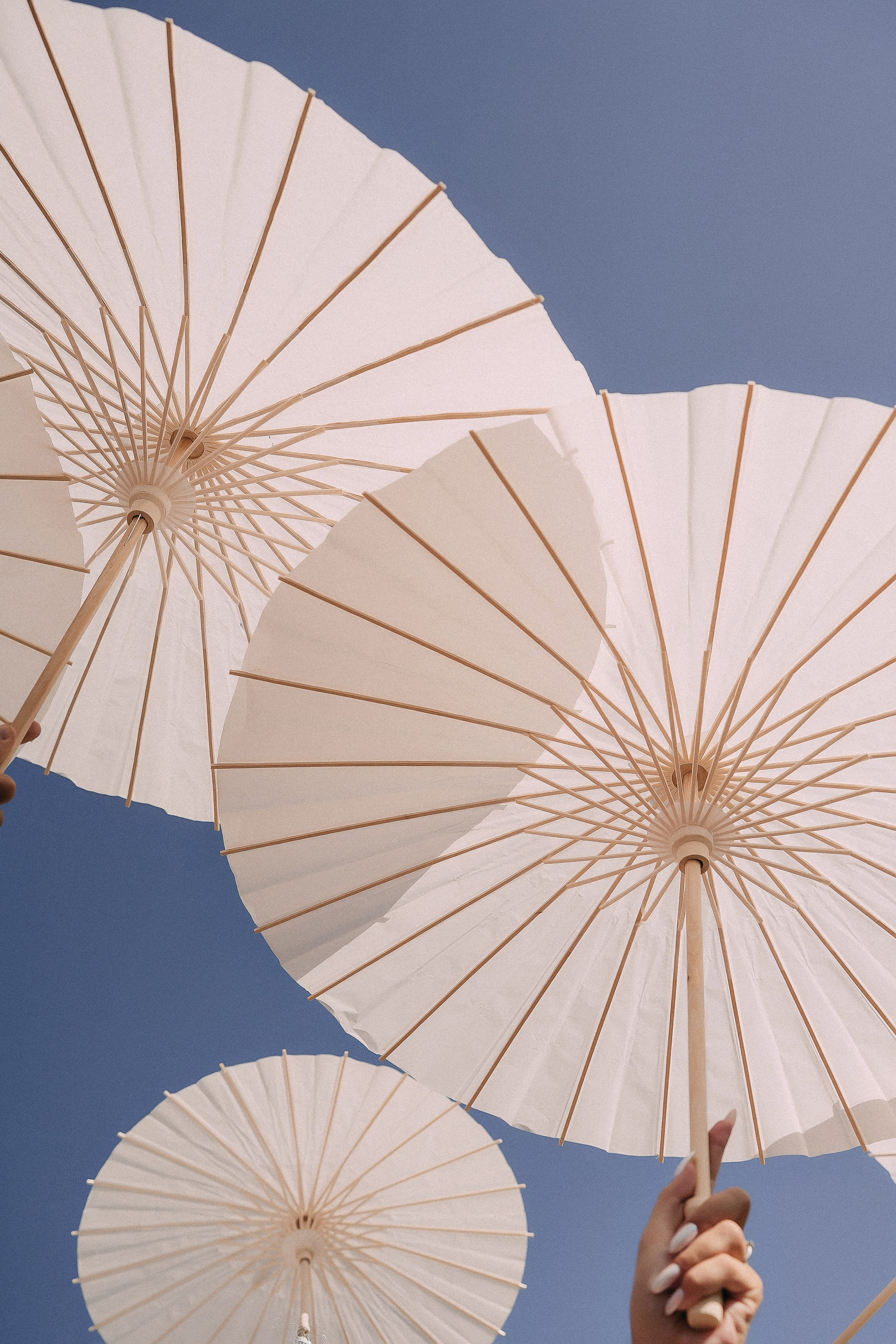 Paper parasols held up against the blue sky at the Italian wedding