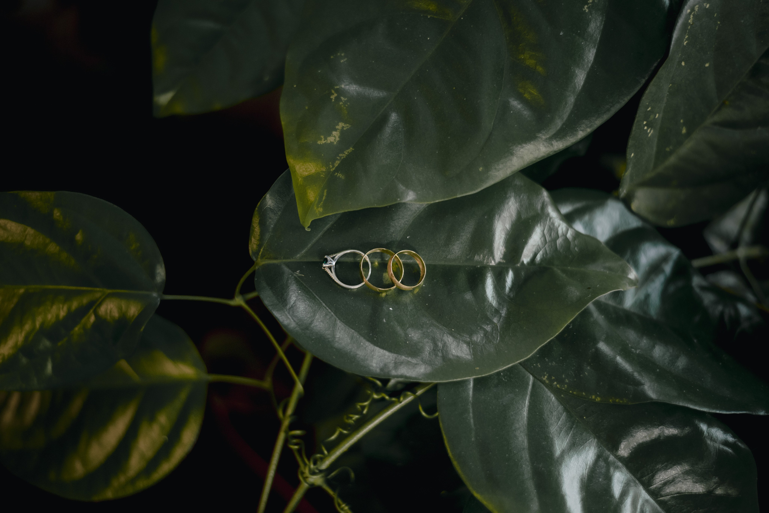 Detalles Fotogénicos en Bodas | No Olvides Estos Detalles – BanderArt. Fotógrafos de bodas en Barranquilla, Cartagena y Santa Marta | BanderArt