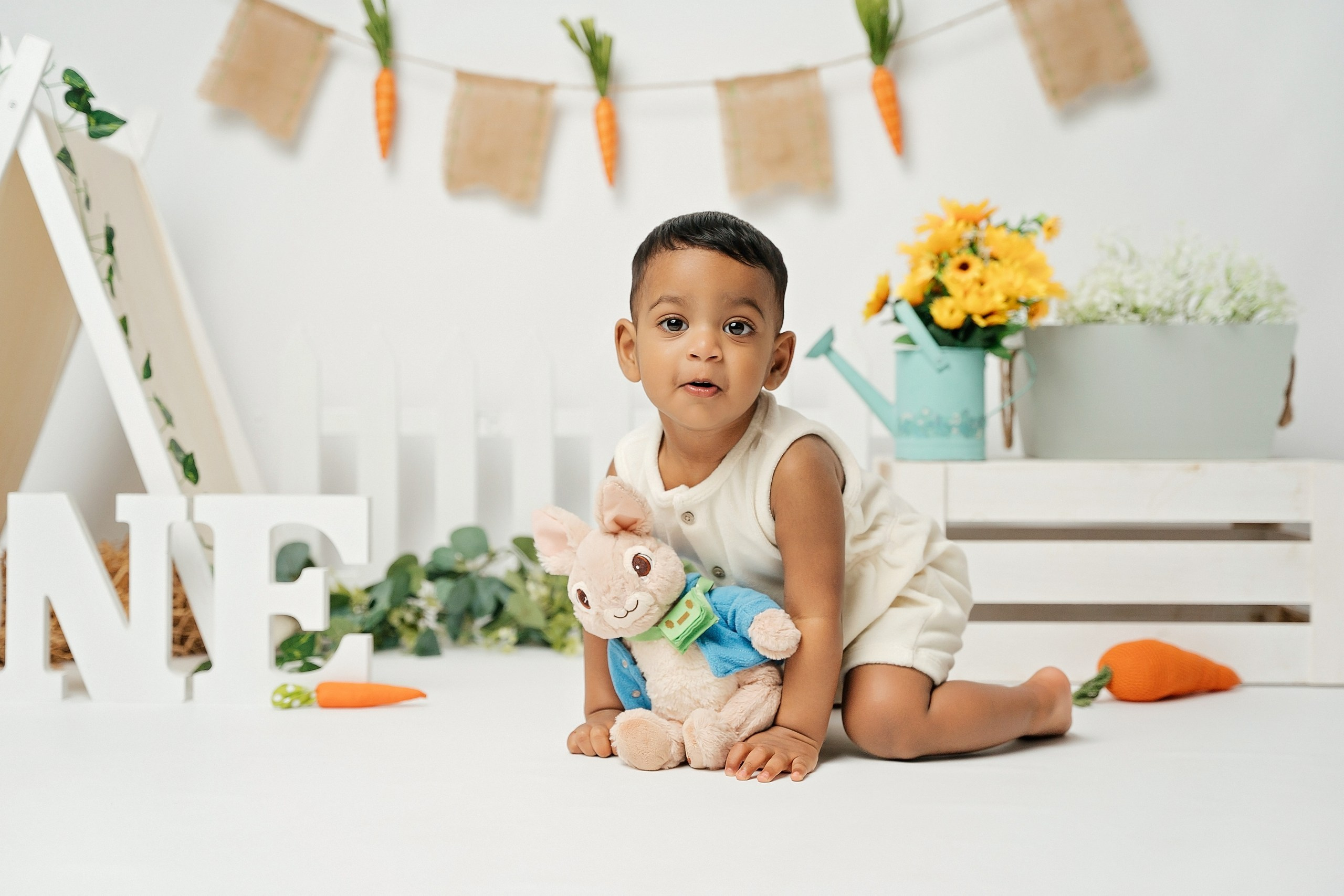 Peter rabbit cake smash session. Newborn and family photographer. Hills District. Sydney