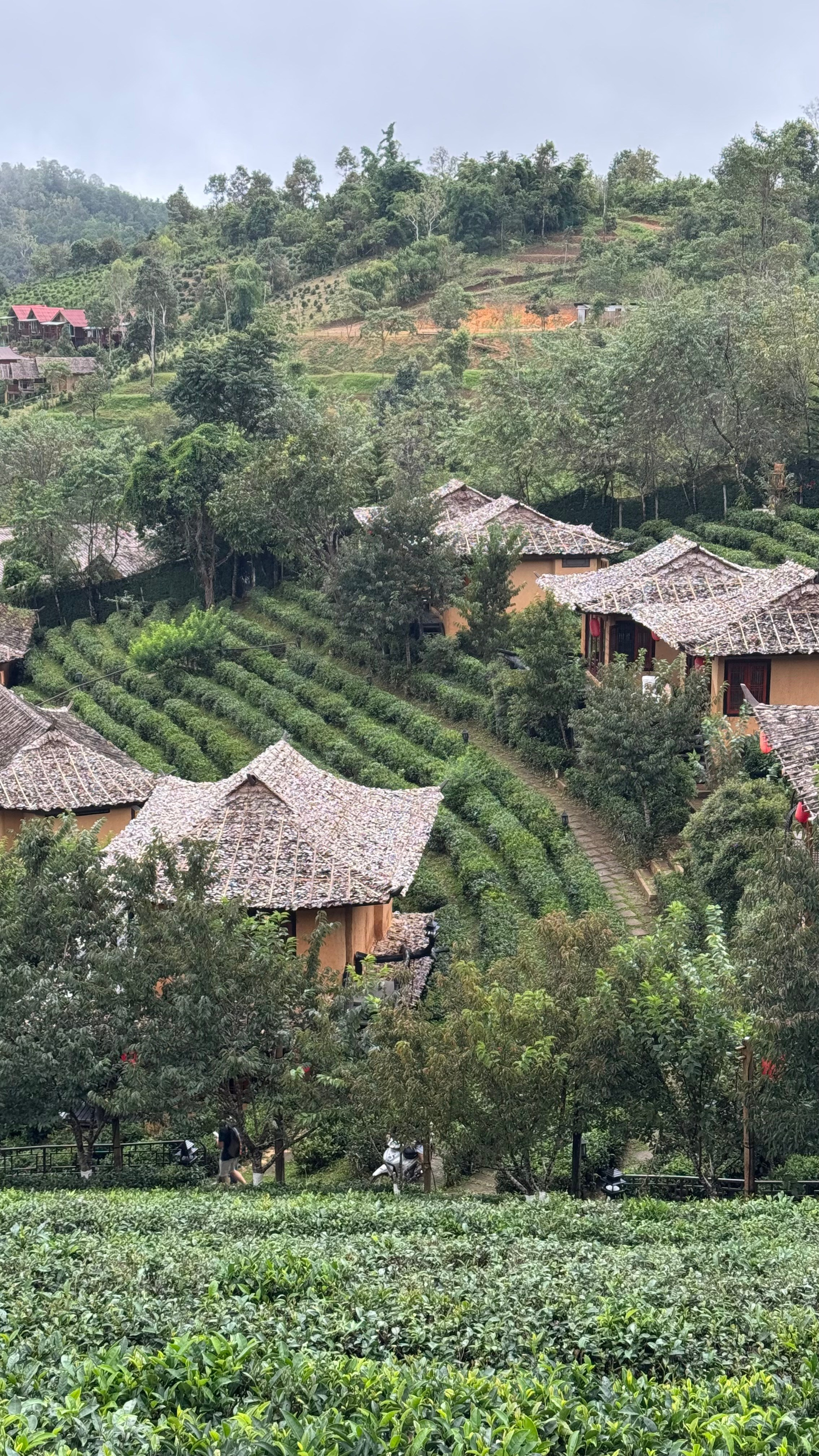 Совместное путешествие на север Таиланда. Женский клуб в Паттайе