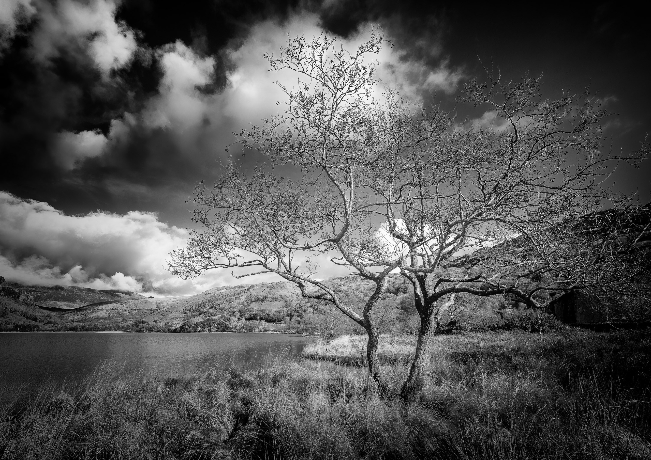 UK Landscape & Seascape Gallery. Hedley Wright Photography | East Anglia Sport, Street, Wildlife, Landscape & Astrophotography