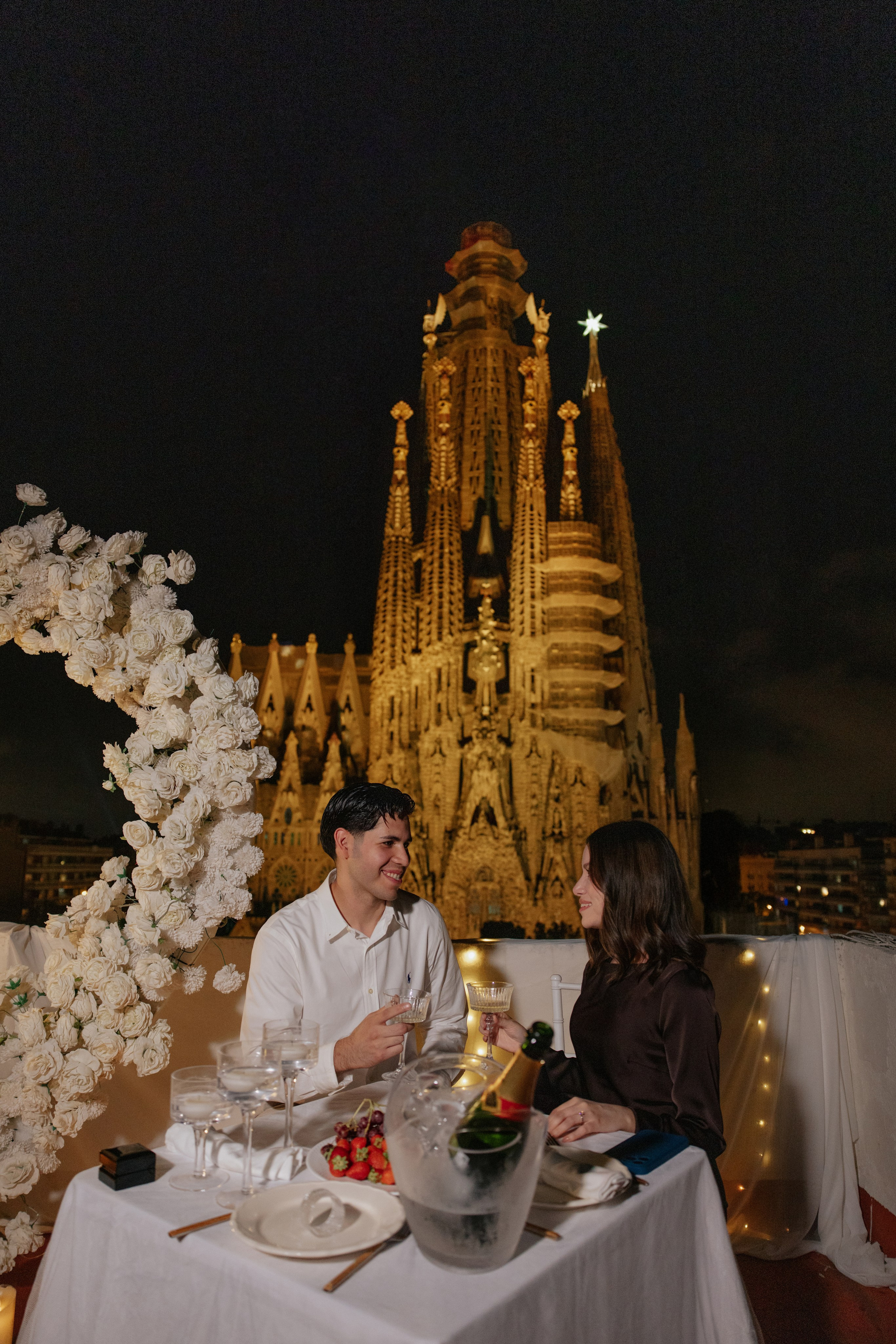 Sagrada Familia Terrace Proposal