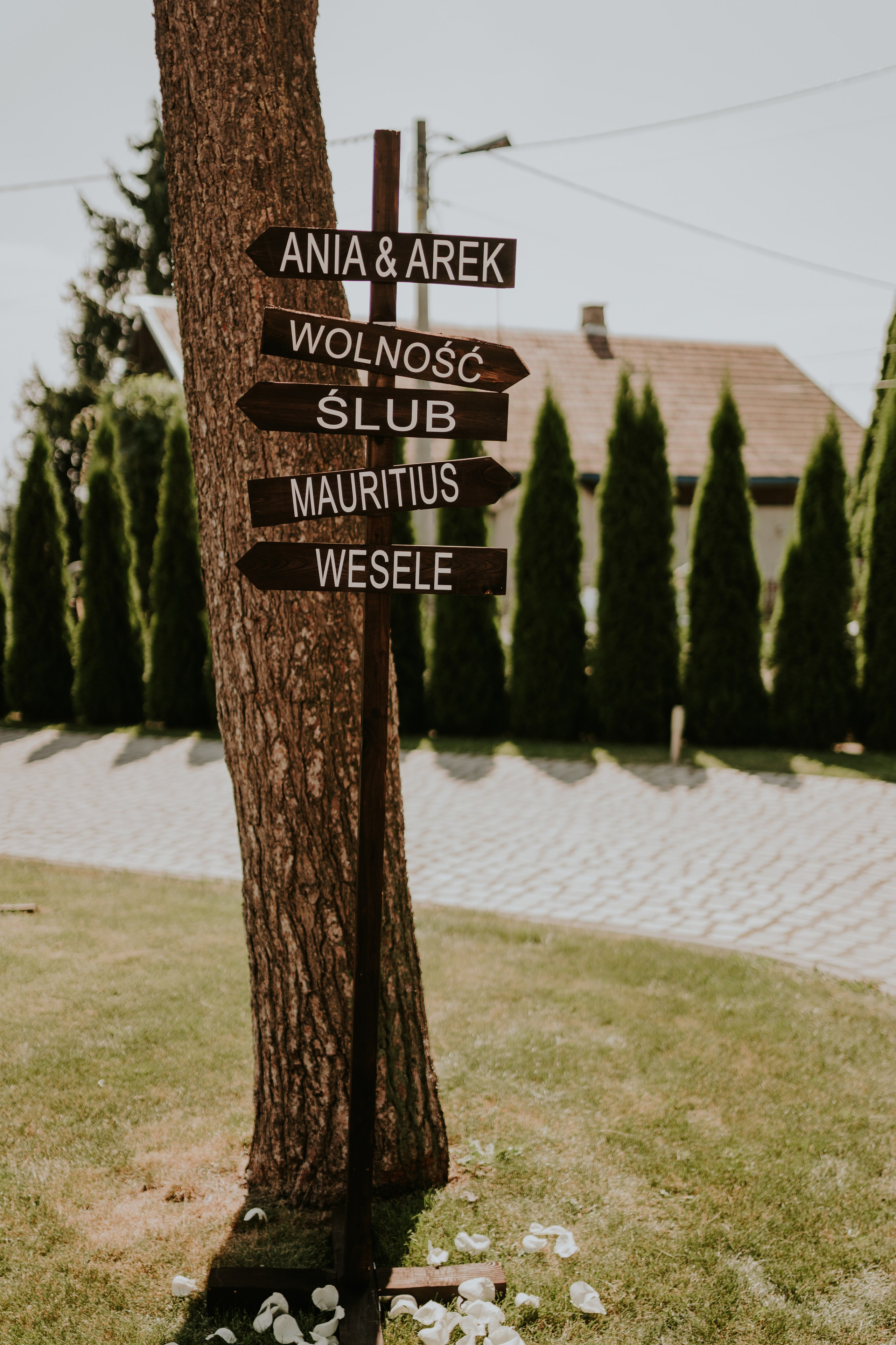 Dwór Wierzbno: plenerowy ślub pod wierzbą. Karkowskafoto - fotografia miłości