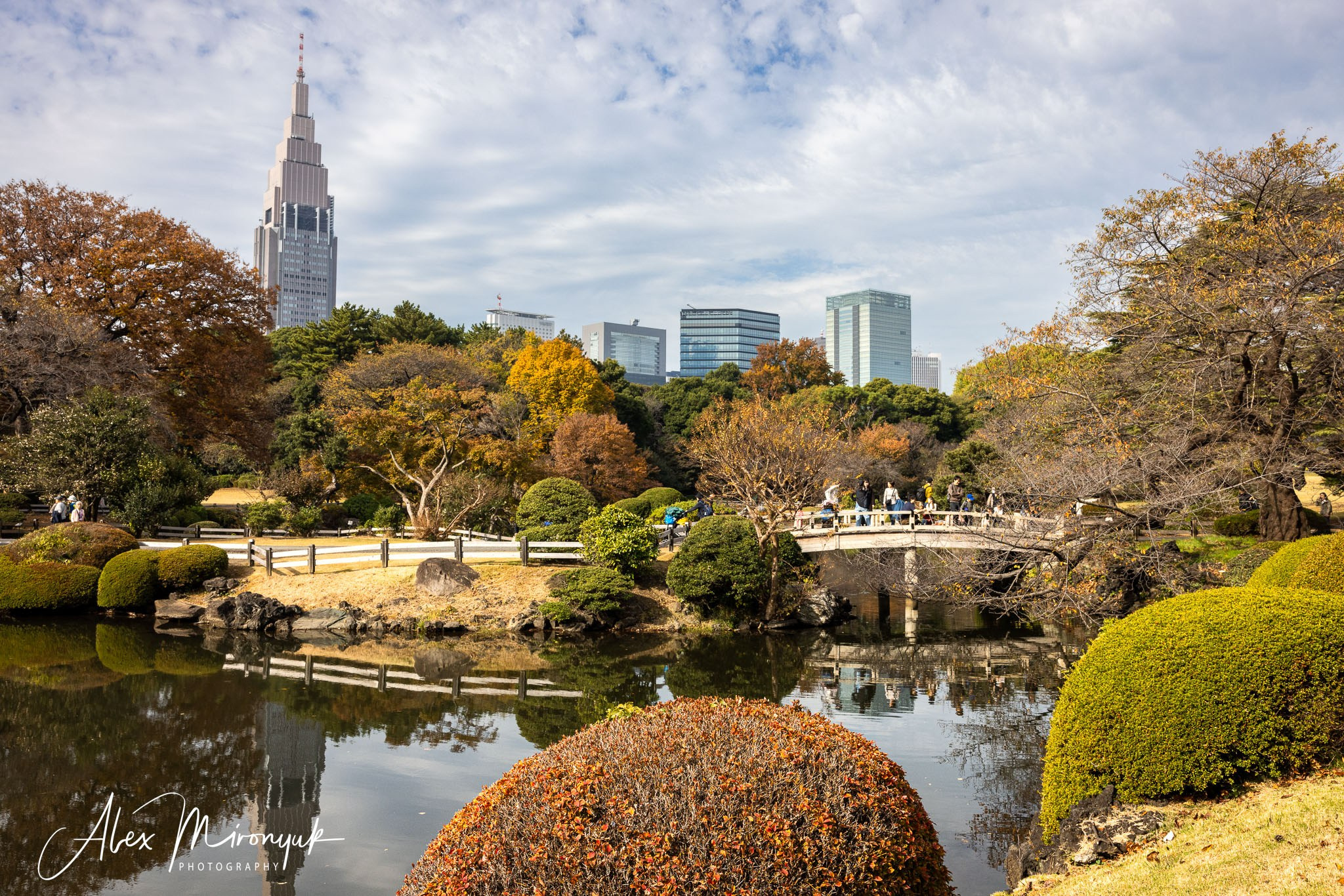 Autumn Colors of Japan. Pet, Senior, Landscape, portrait studio, photographer in Miami and Sou