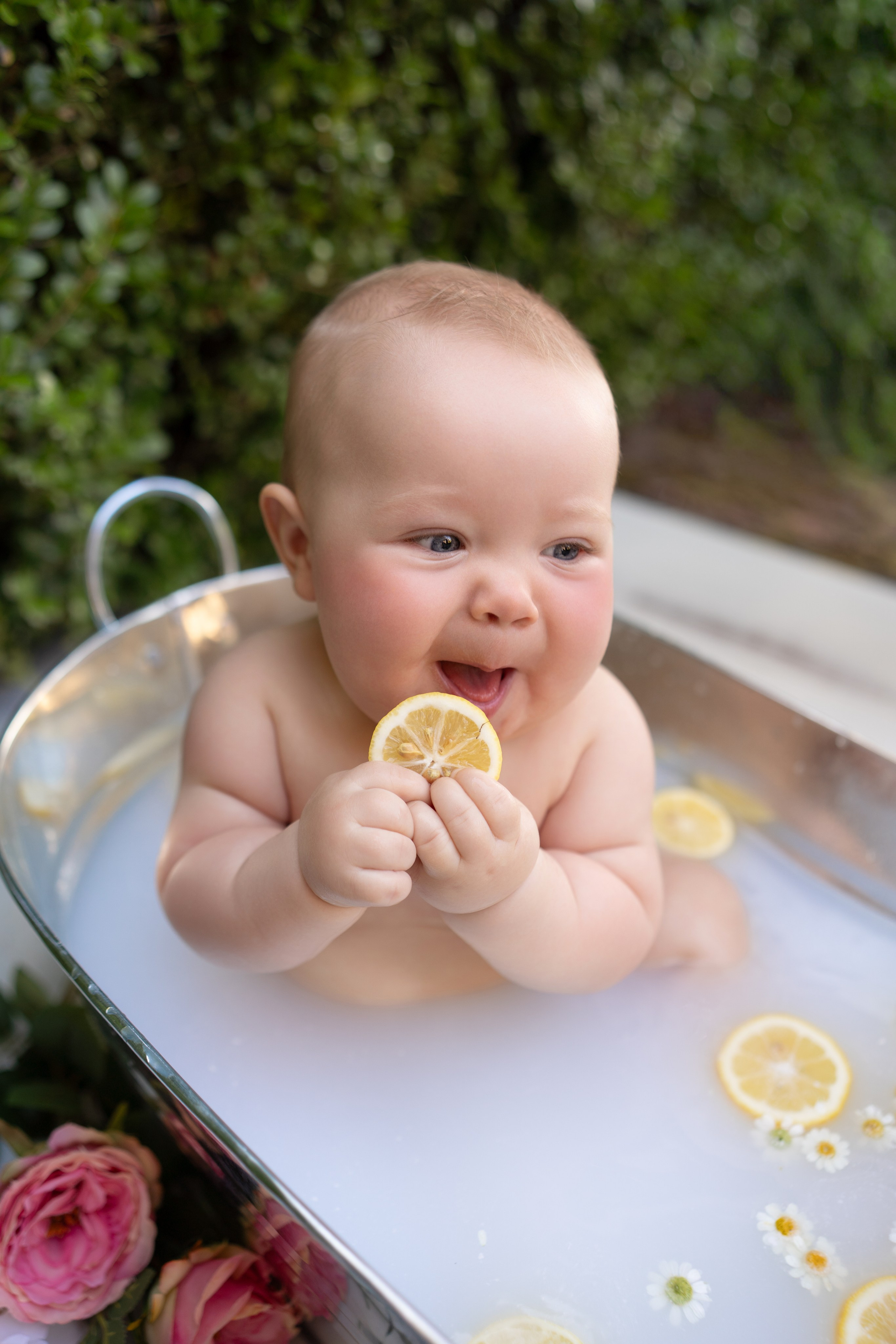 Milestone. Maternity, family and newborn photography in San Francisco Bay Area