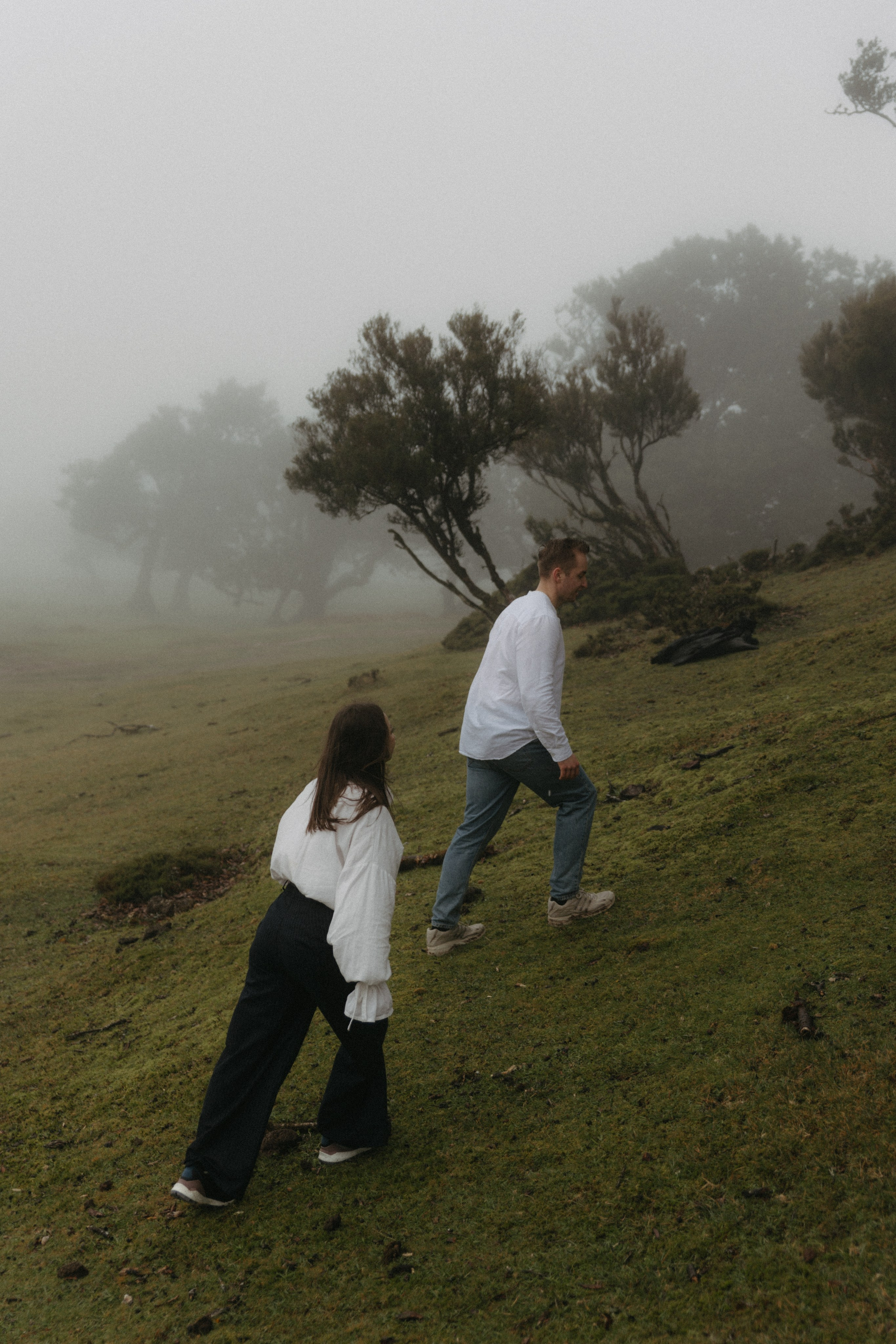 Magic of Fanal Forest. Wedding photographer and videographer based in Timisoara, Romania