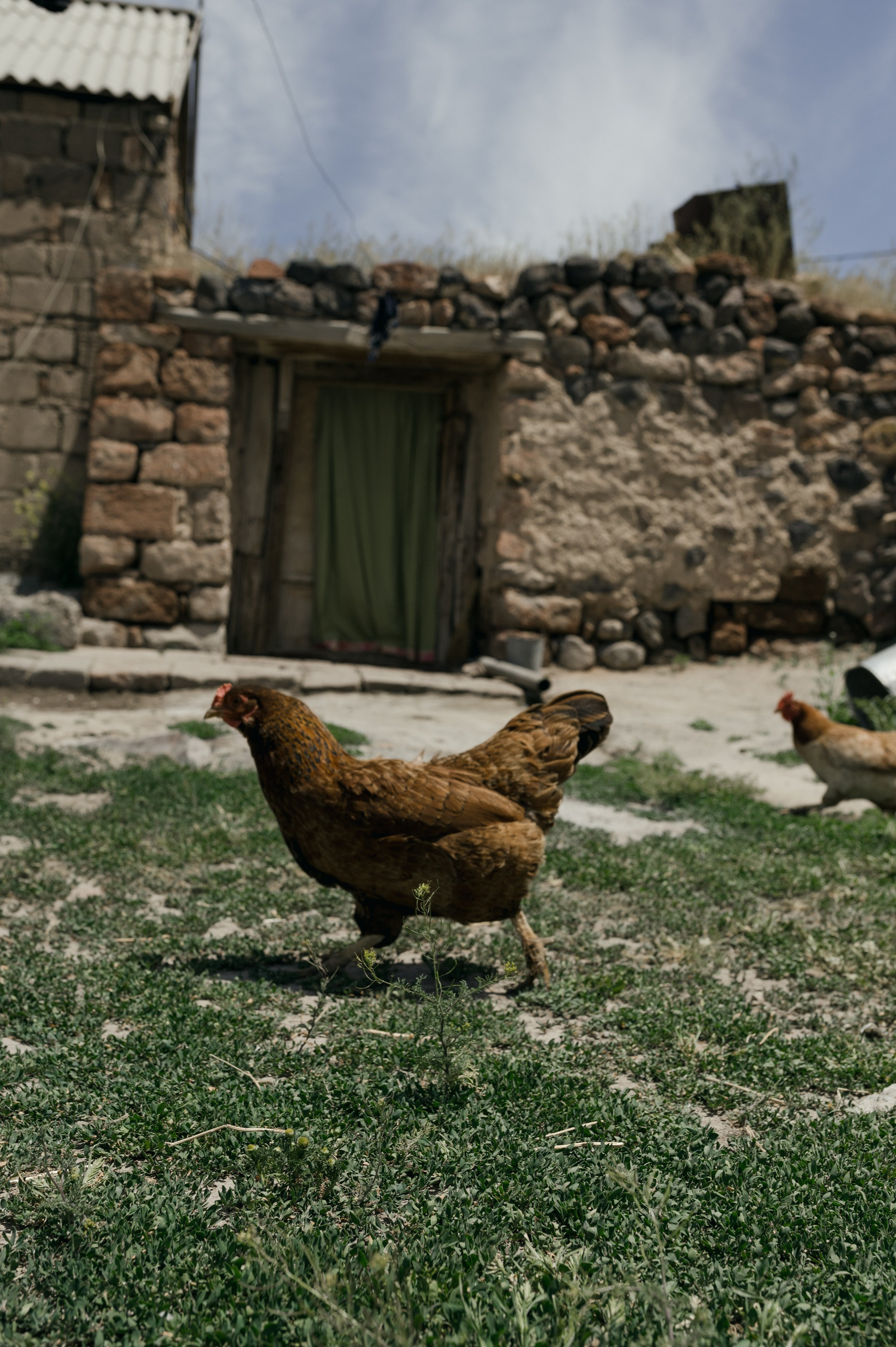 Finding home | Tbilisi Photography & Multimedia Museum. Home