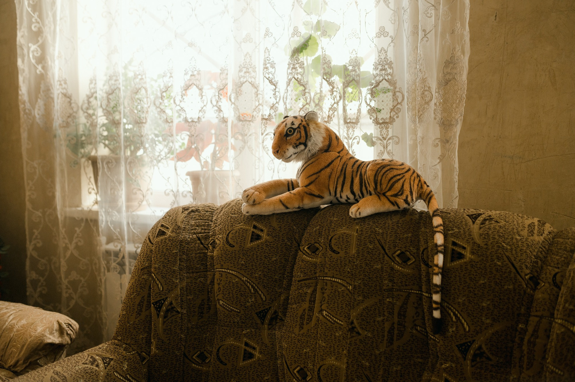 Finding home | Tbilisi Photography & Multimedia Museum. Home