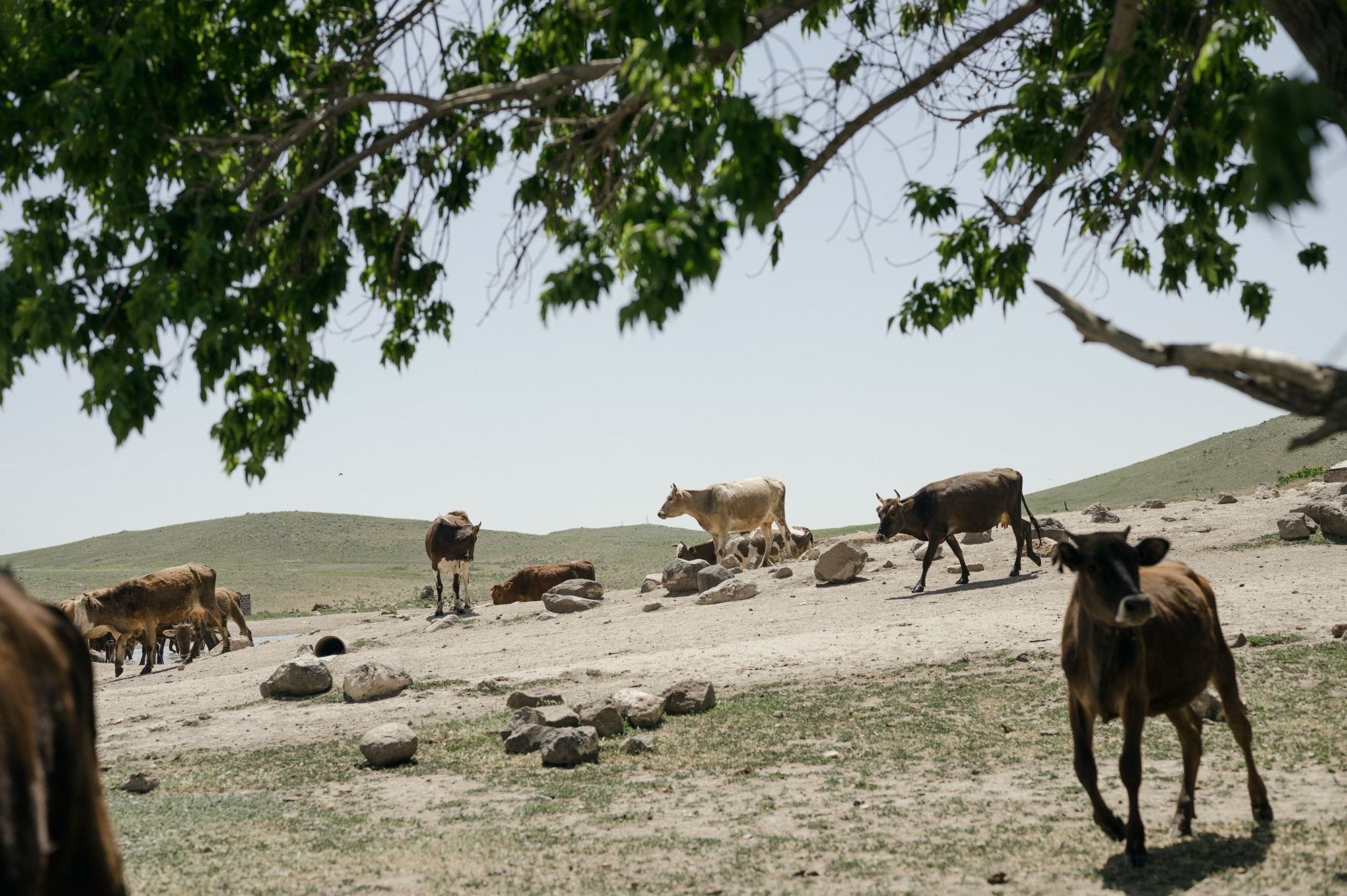 Finding home | Tbilisi Photography & Multimedia Museum. Home
