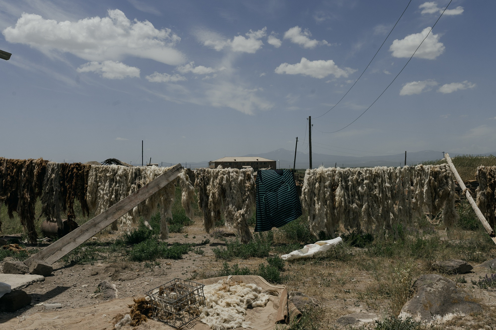 Finding home | Tbilisi Photography & Multimedia Museum. Home