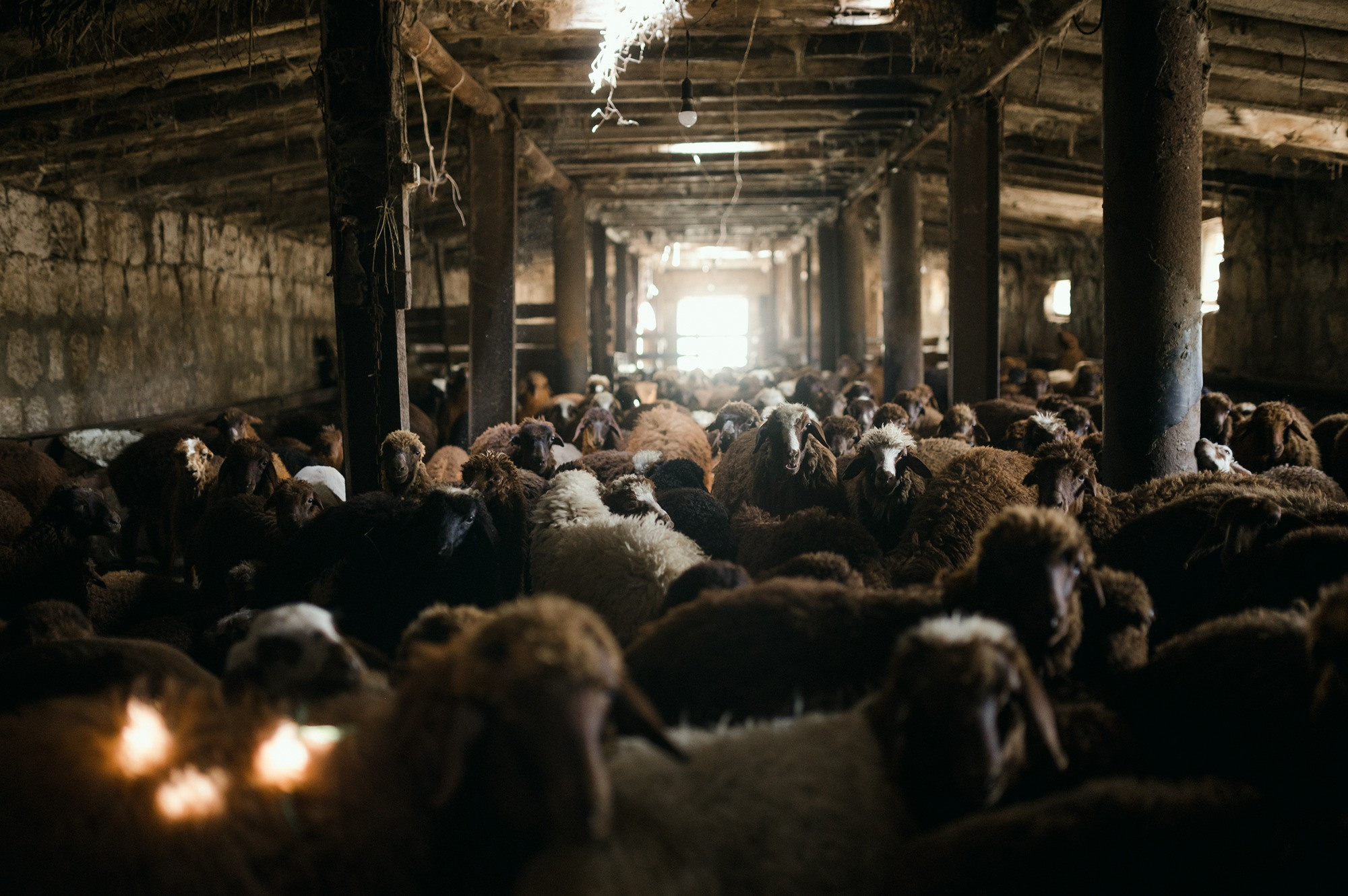 Finding home | Tbilisi Photography & Multimedia Museum. Home