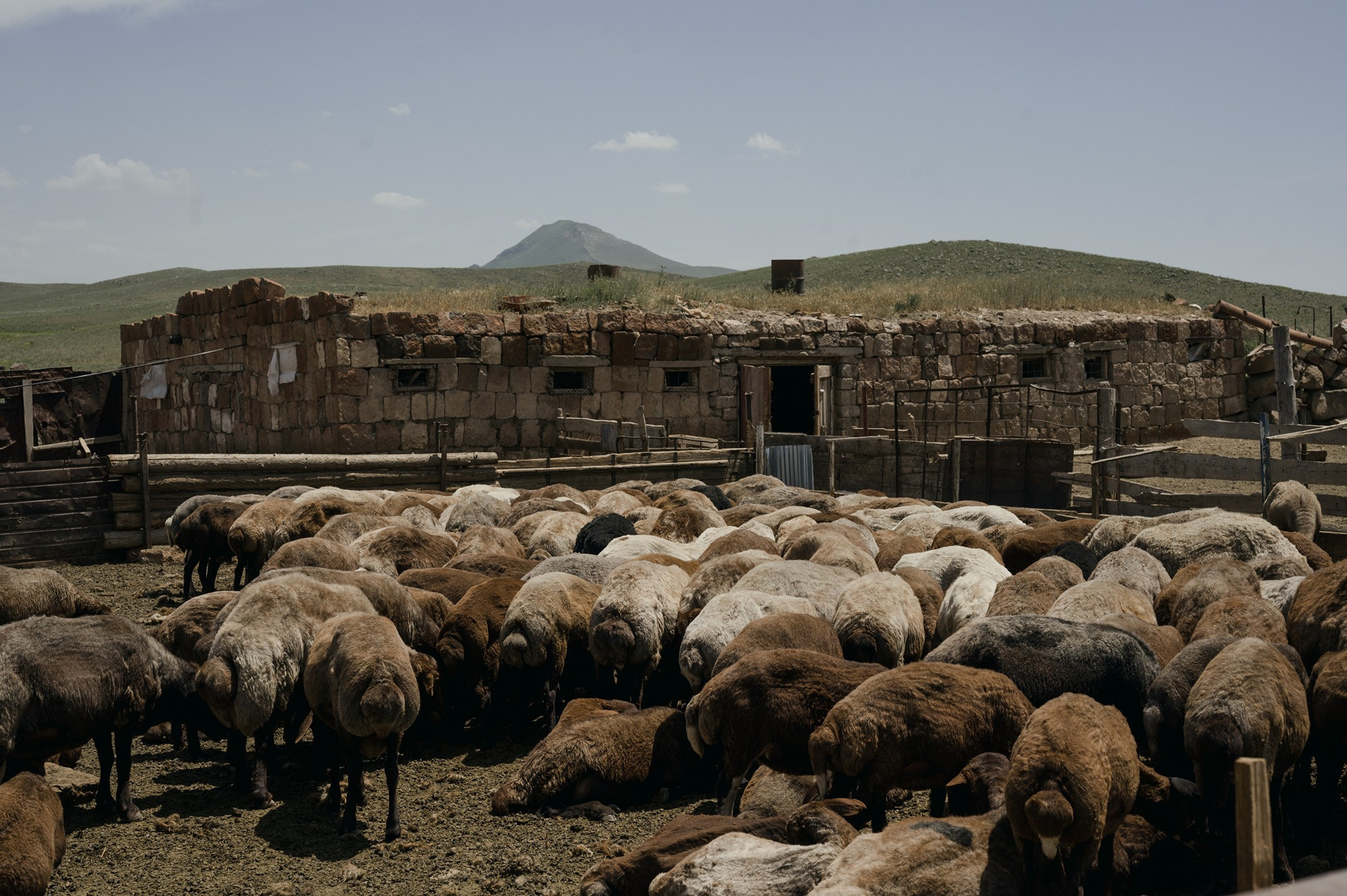 Finding home | Tbilisi Photography & Multimedia Museum. Home