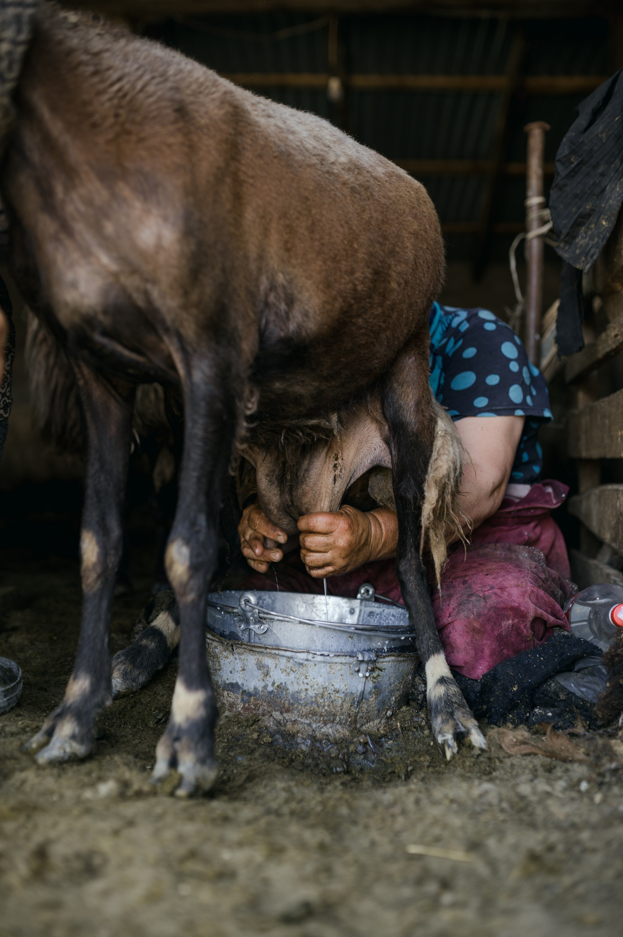 Finding home | Tbilisi Photography & Multimedia Museum. Home