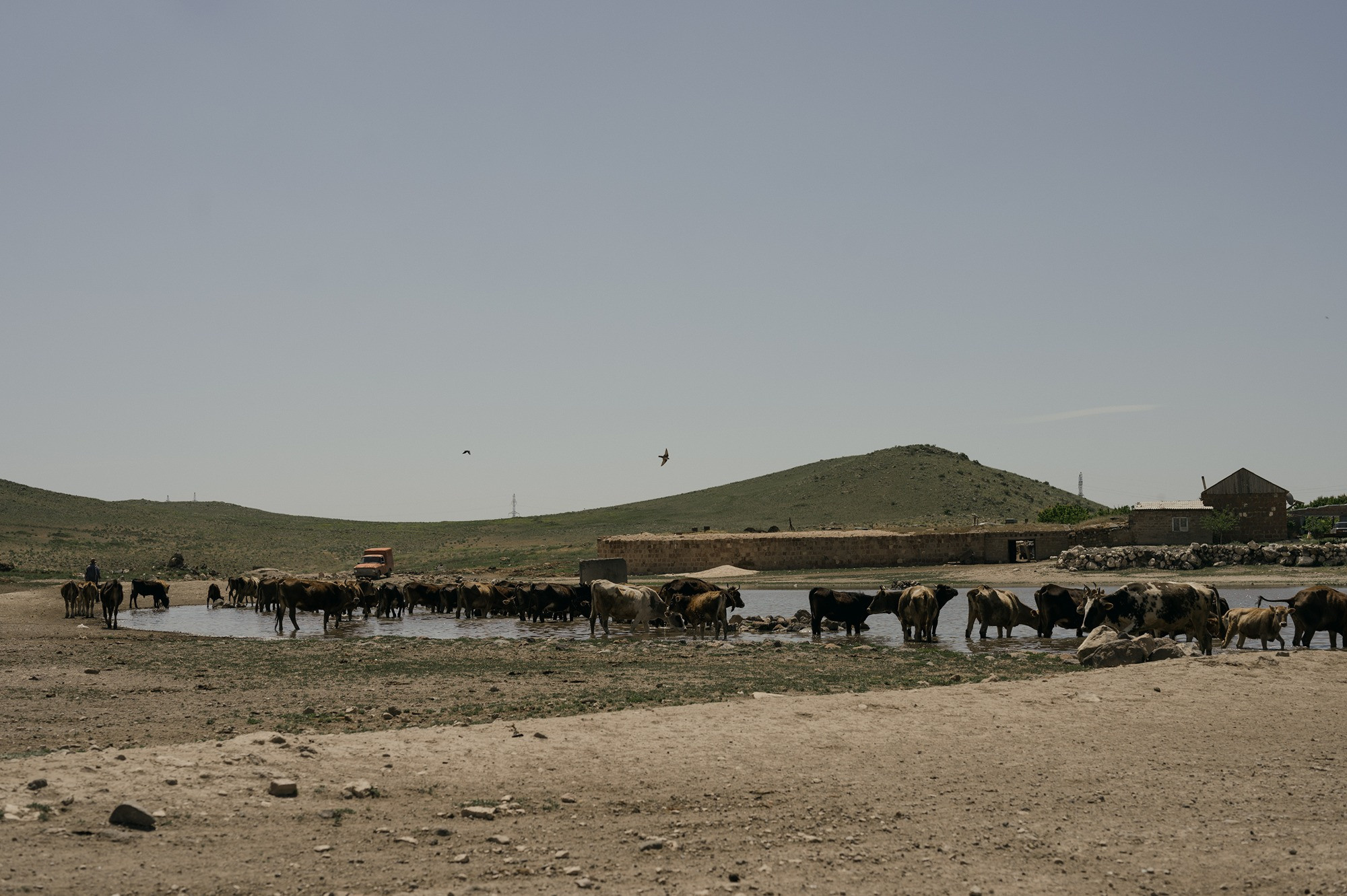 Finding home | Tbilisi Photography & Multimedia Museum. Home
