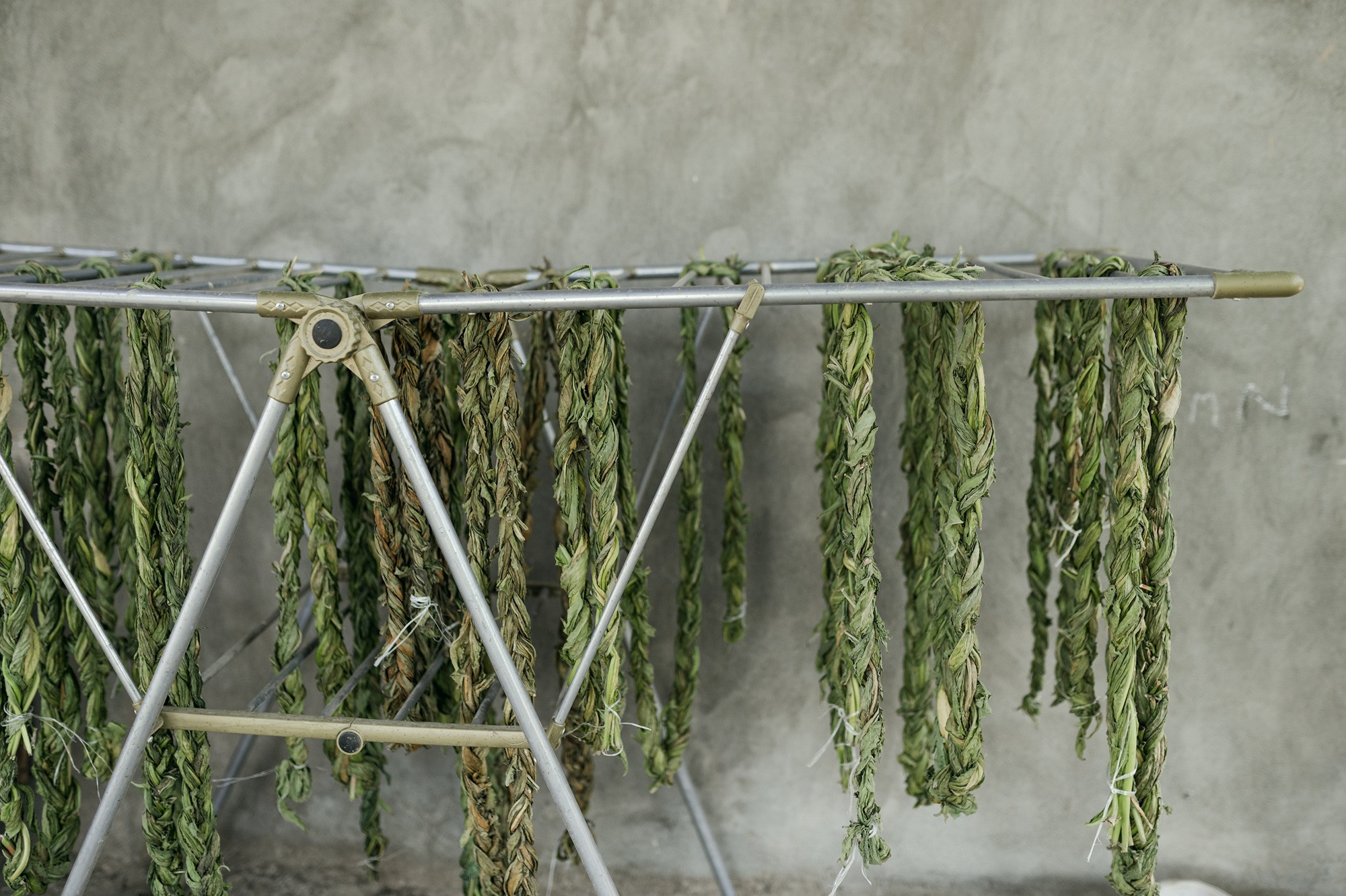 Finding home | Tbilisi Photography & Multimedia Museum. Home