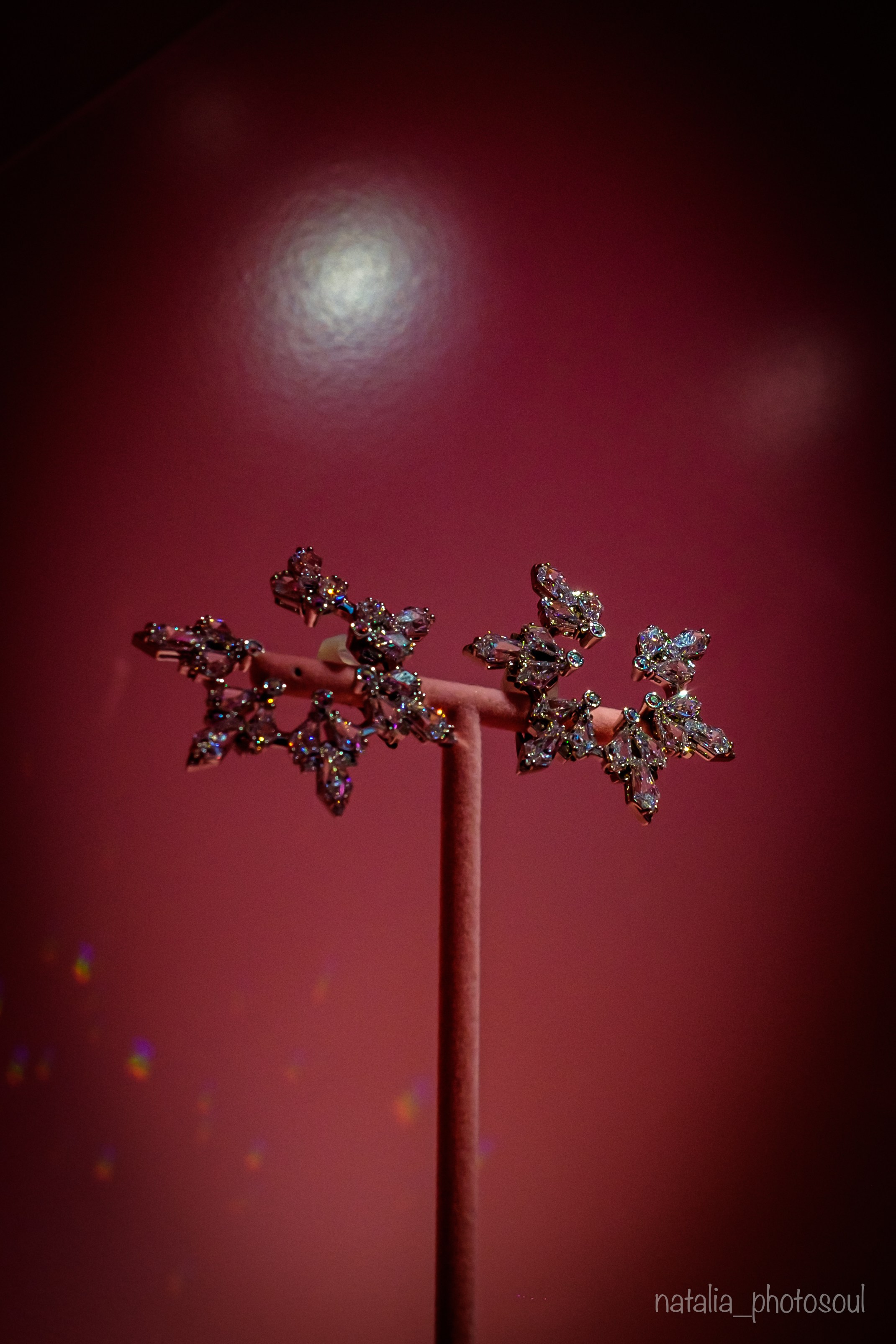 SWAROVSKI MASTERS OF LIGHT FROM VIENNA TO SEOUL. Photographer in Seoul Dobrokvashina Natalya