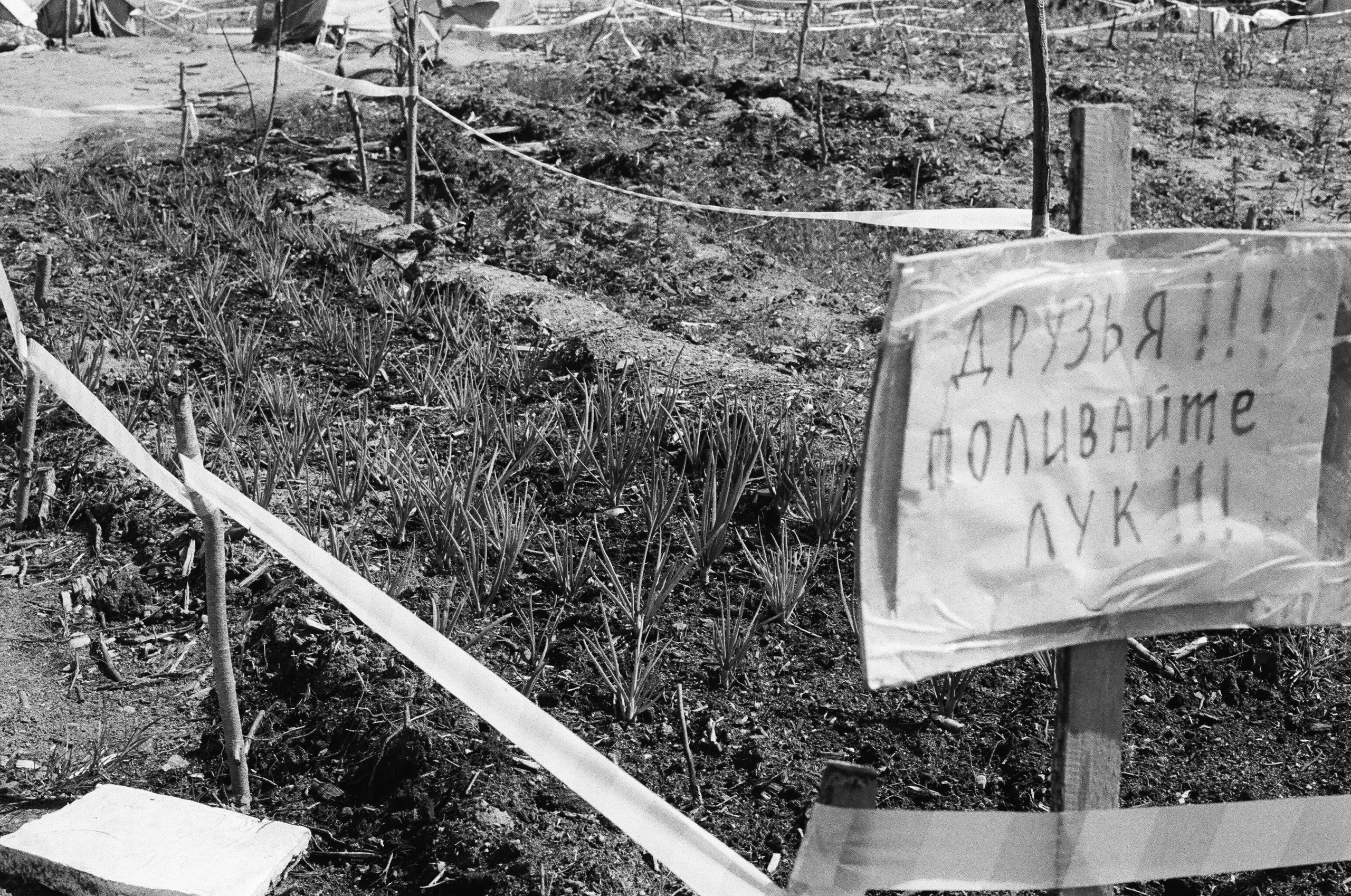 Шиес, июль 2019. Полина Сойреф, портретный и документальный фотограф