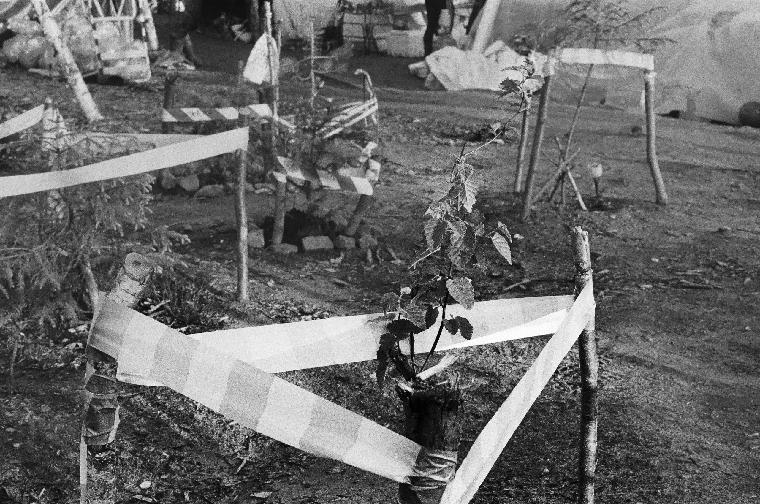 Шиес, июль 2019. Полина Сойреф, портретный и документальный фотограф