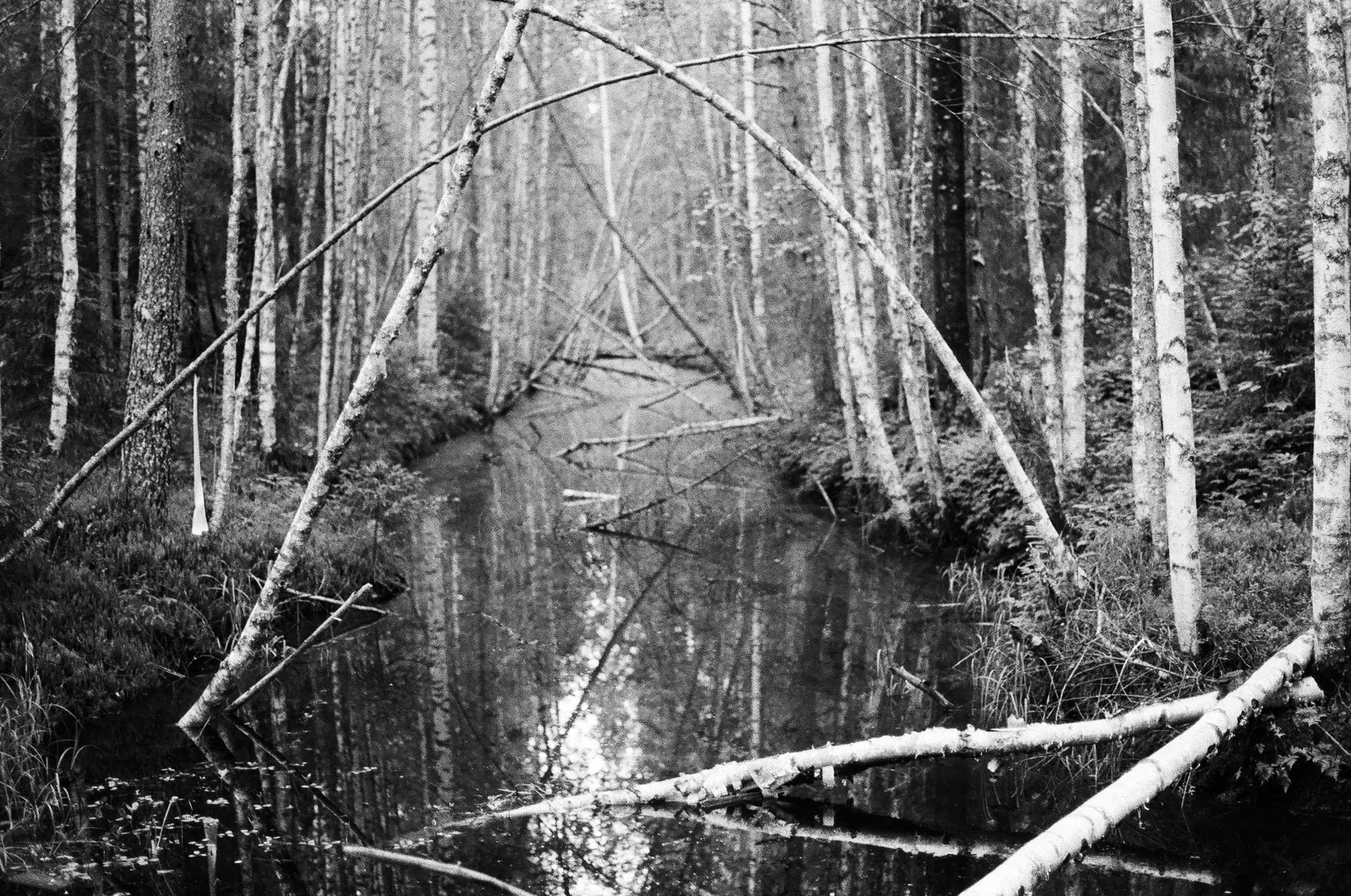 Шиес, июль 2019. Полина Сойреф, портретный и документальный фотограф