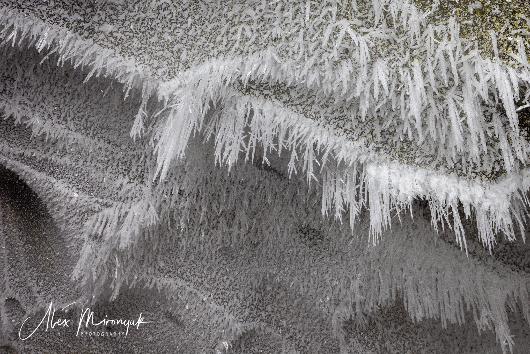 Ice Caves Adventure. Pet, Senior, Landscape, portrait studio, photographer in Miami and Sou