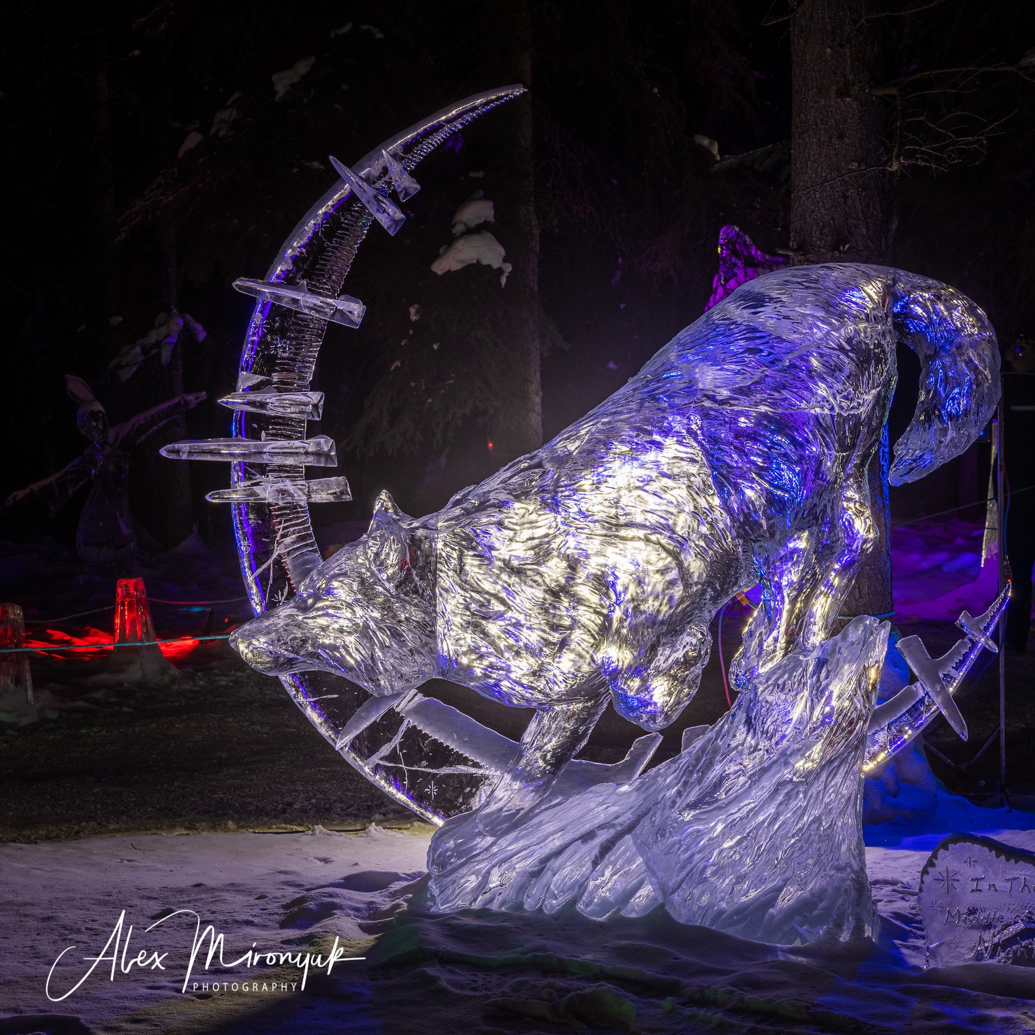 Ice Caves Adventure. Pet, Senior, Landscape, portrait studio, photographer in Miami and Sou