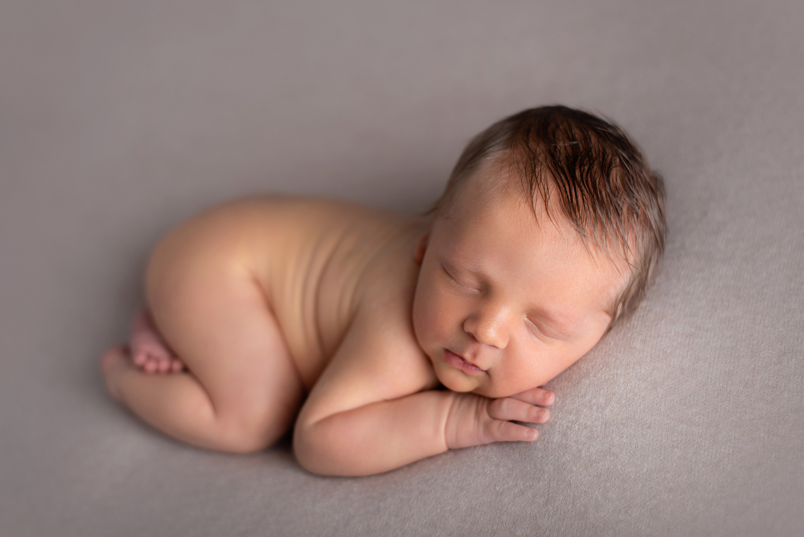 Newborn gallery. In-home newborn photography Raleigh & area Katya Kulikova