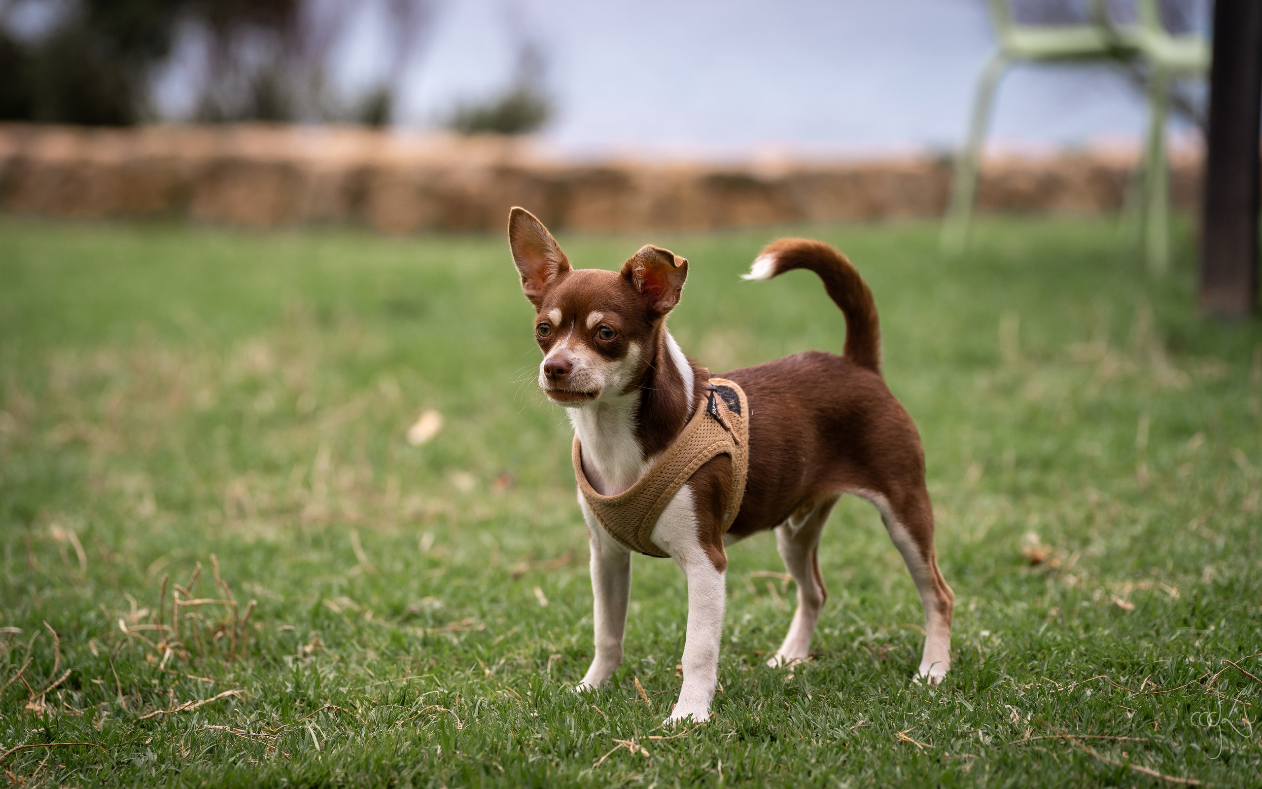 FLOWTIME: the 6th Cargèse summer school. Expect Miracles Photography by Kate & Andrew