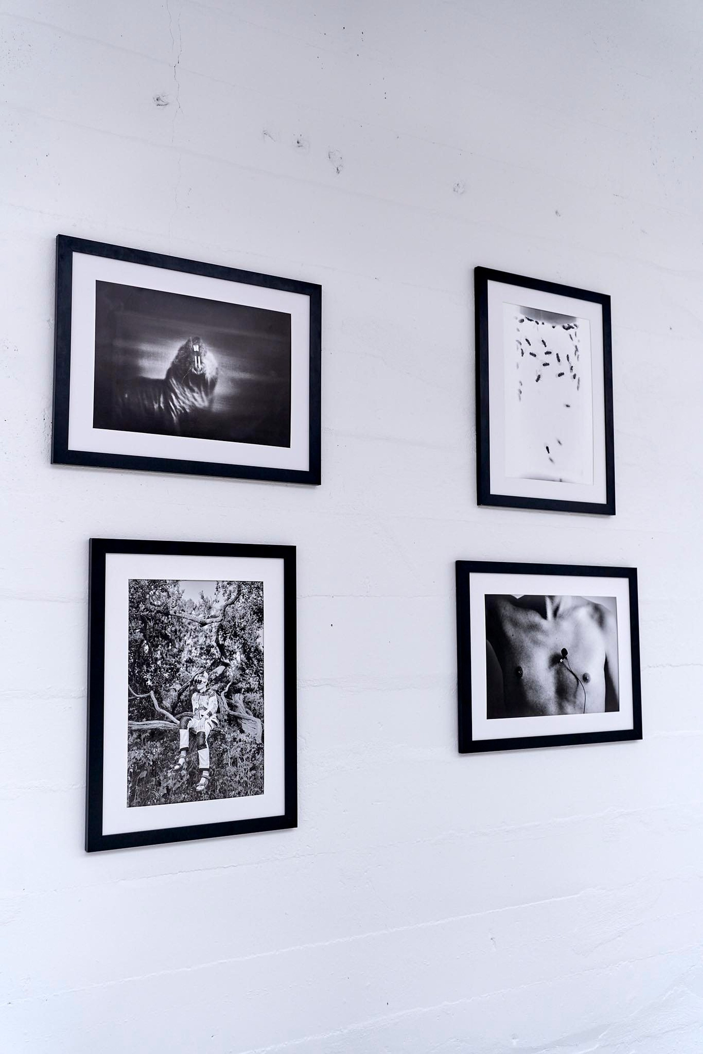 About us. GLISH ART — Timofey Glinin & Anastasia Shubina