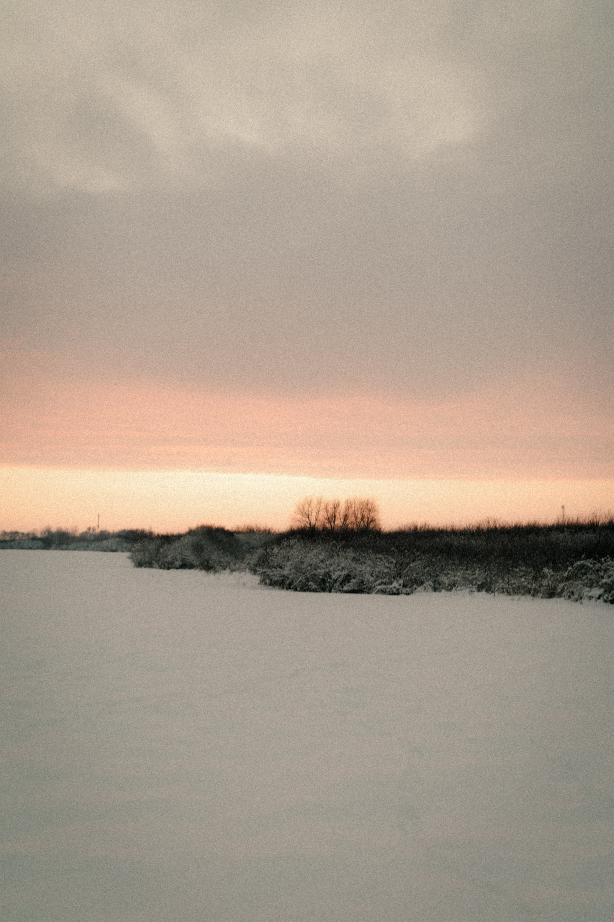 Snowy. Wedding photographer and videographer based in Timisoara, Romania