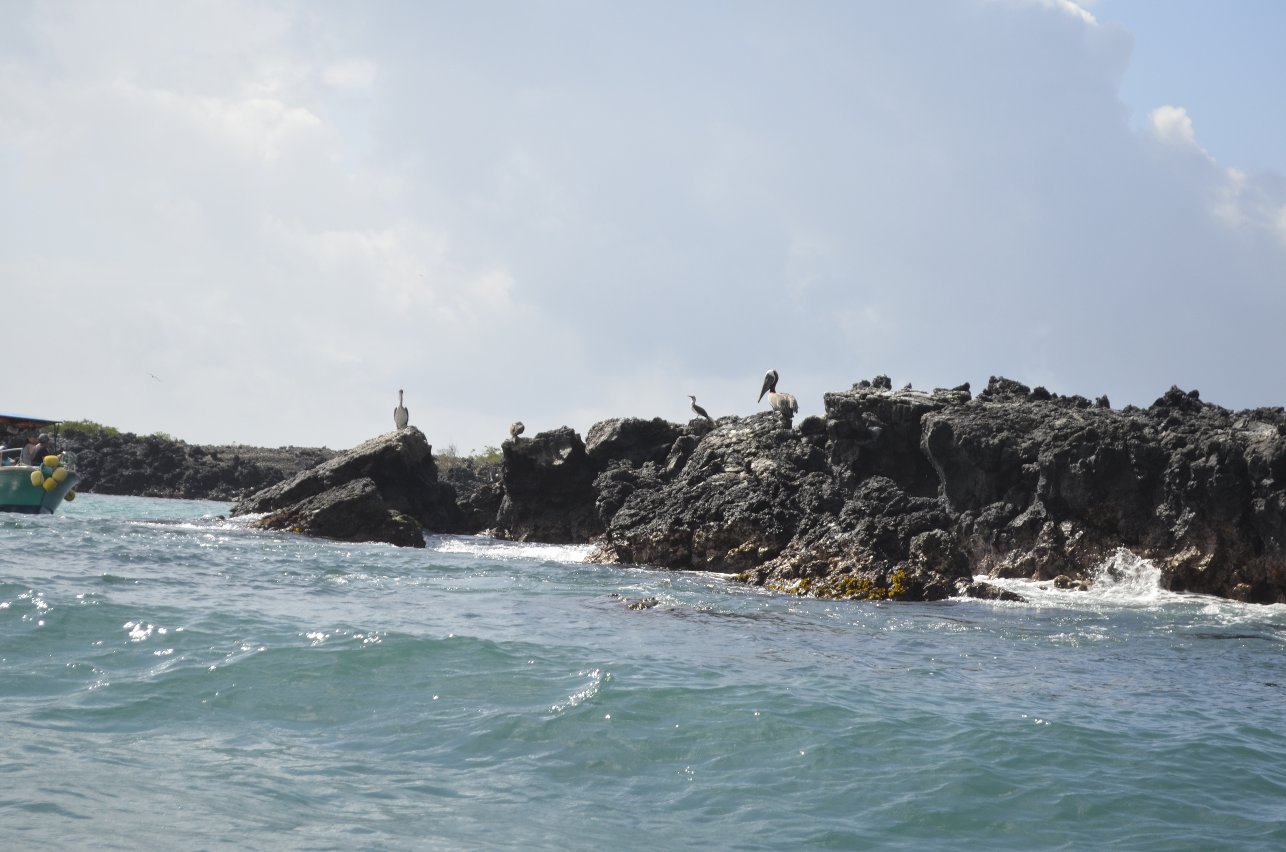Galapagos 2017, Отчёт о путешествии на Галапагосские острова. Милок и Кирок это позитивные и реальные персоны из Люксембурга, много