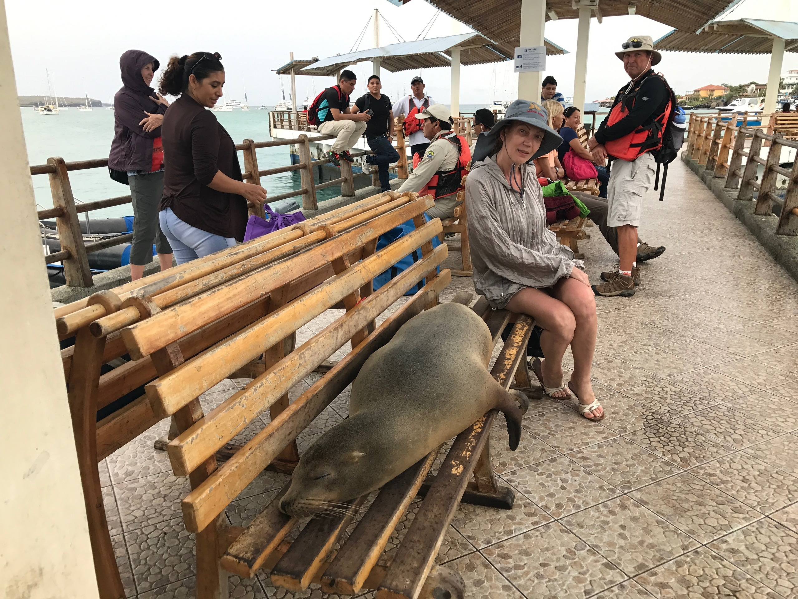 Galapagos 2017, Отчёт о путешествии на Галапагосские острова. Милок и Кирок это позитивные и реальные персоны из Люксембурга, много