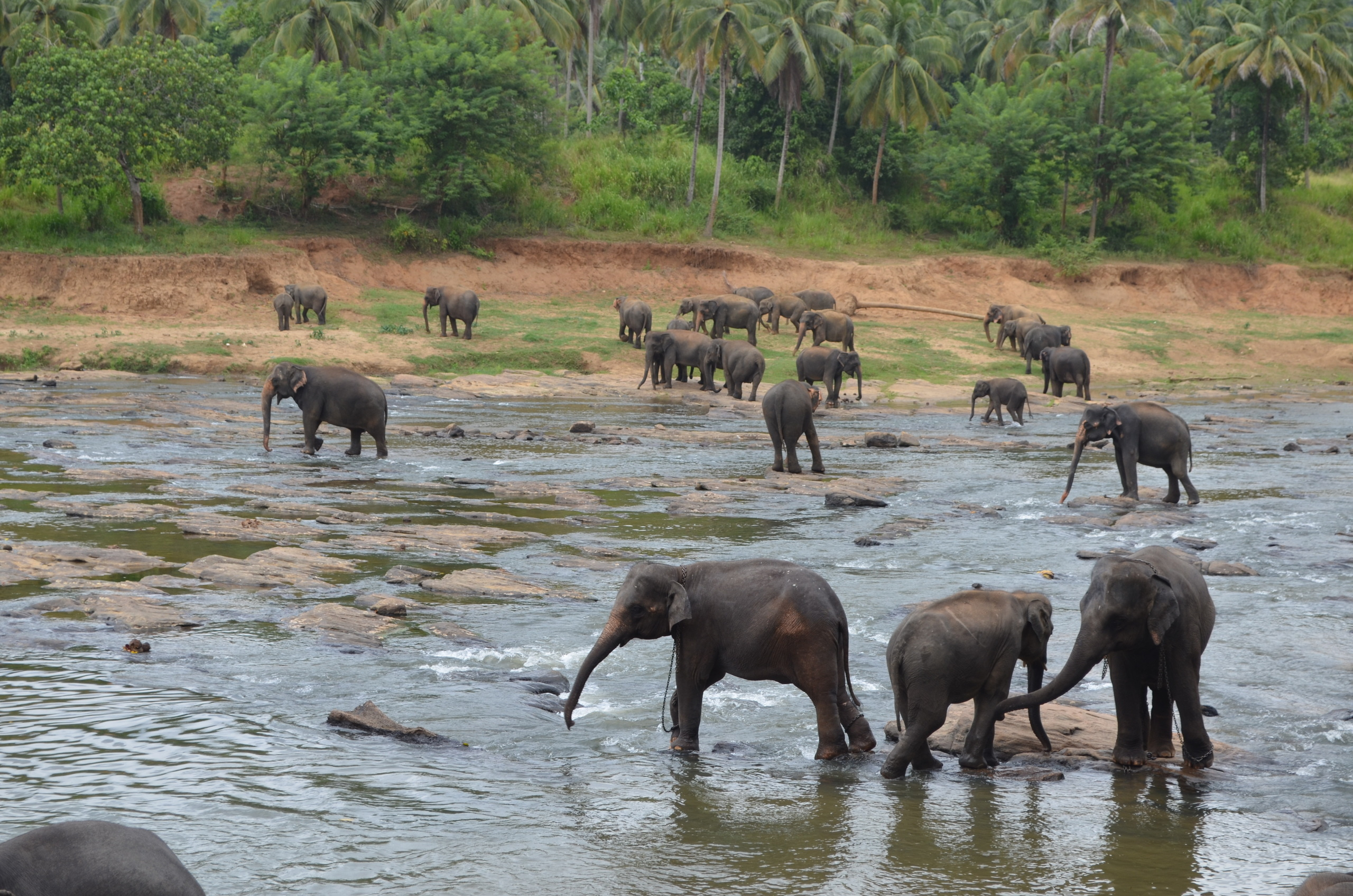 Шри-Ланка — Мальдивы. Mannequins, design, decoration, handmade, photographe…