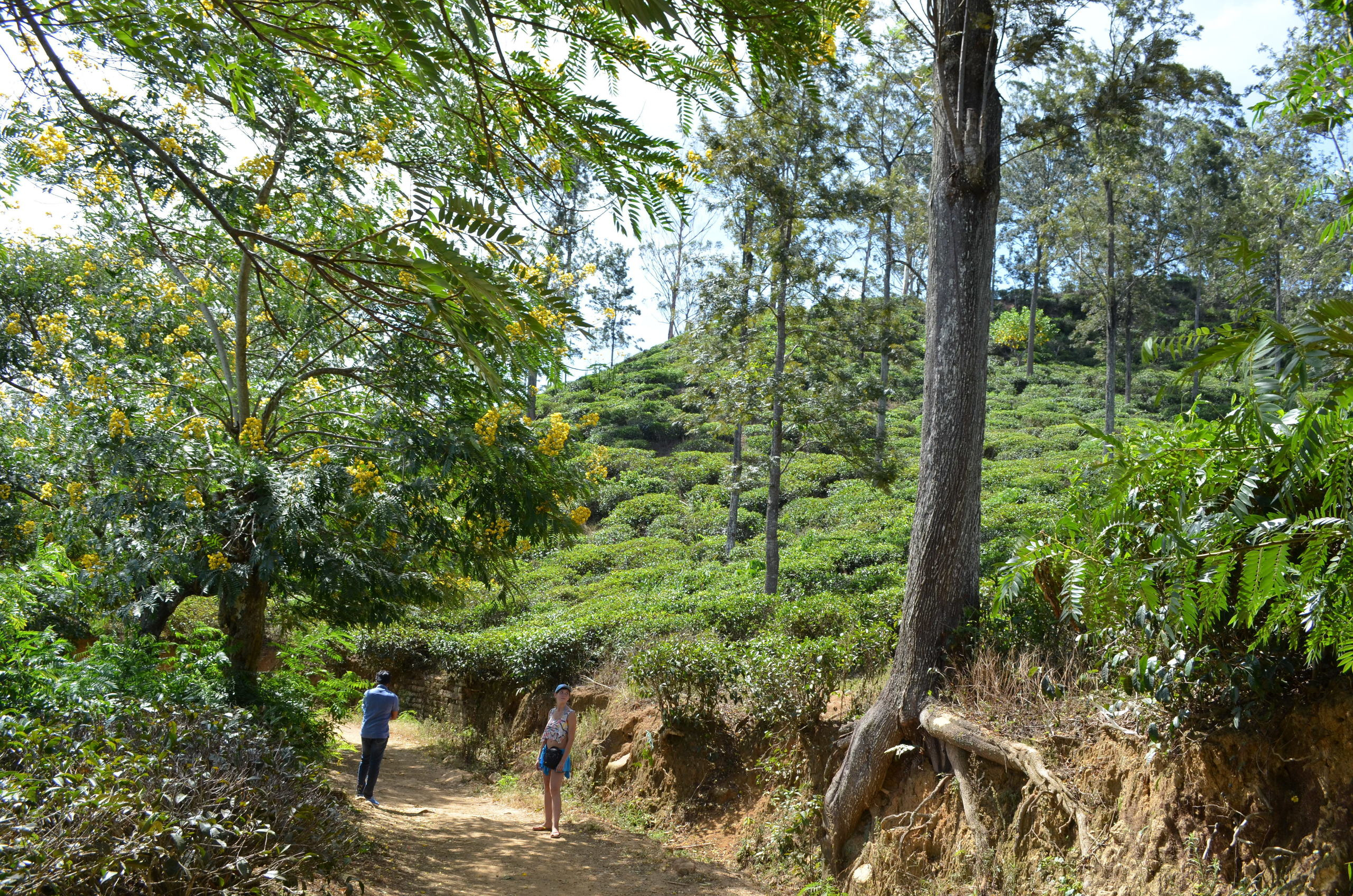 Шри-Ланка — Мальдивы. Mannequins, design, decoration, handmade, photographe…