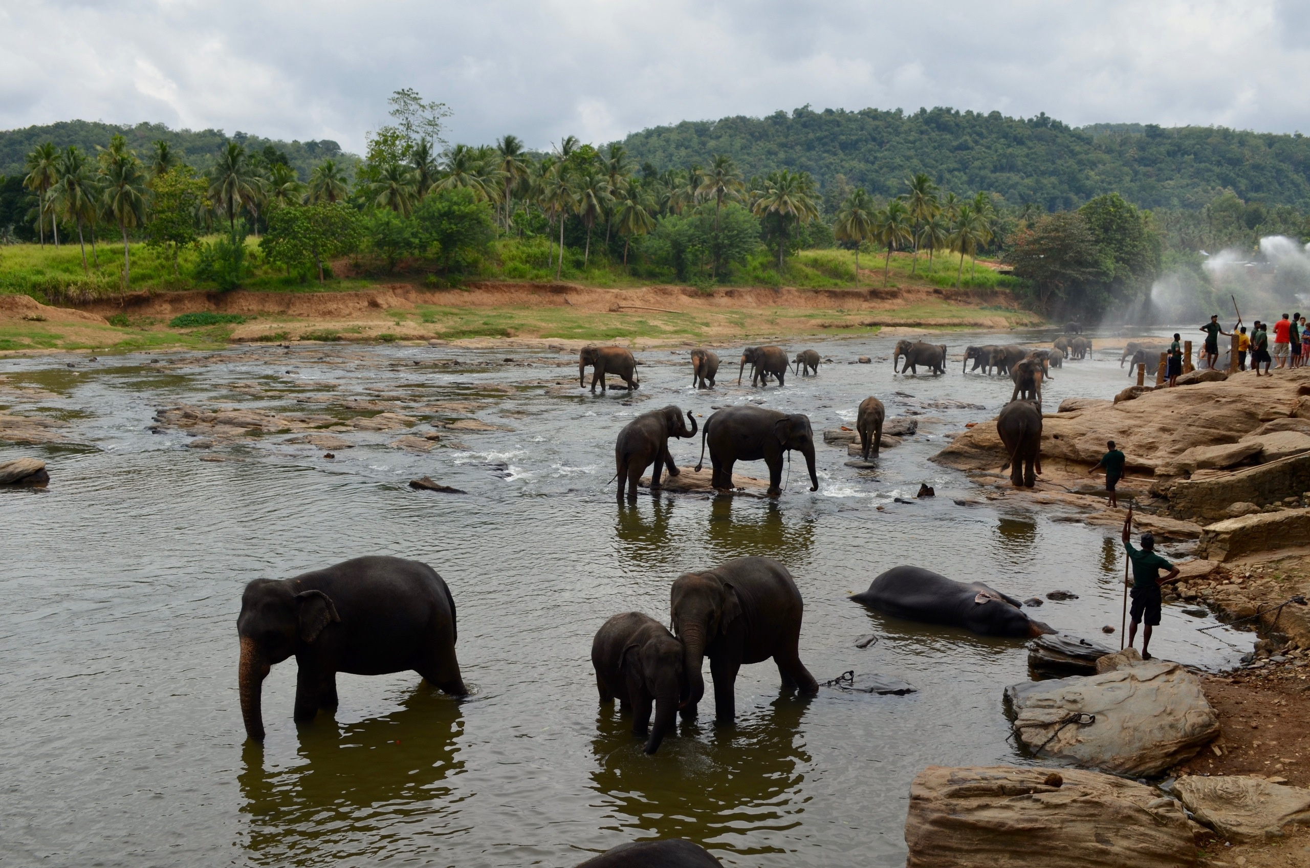 Шри-Ланка — Мальдивы. Mannequins, design, decoration, handmade, photographe…