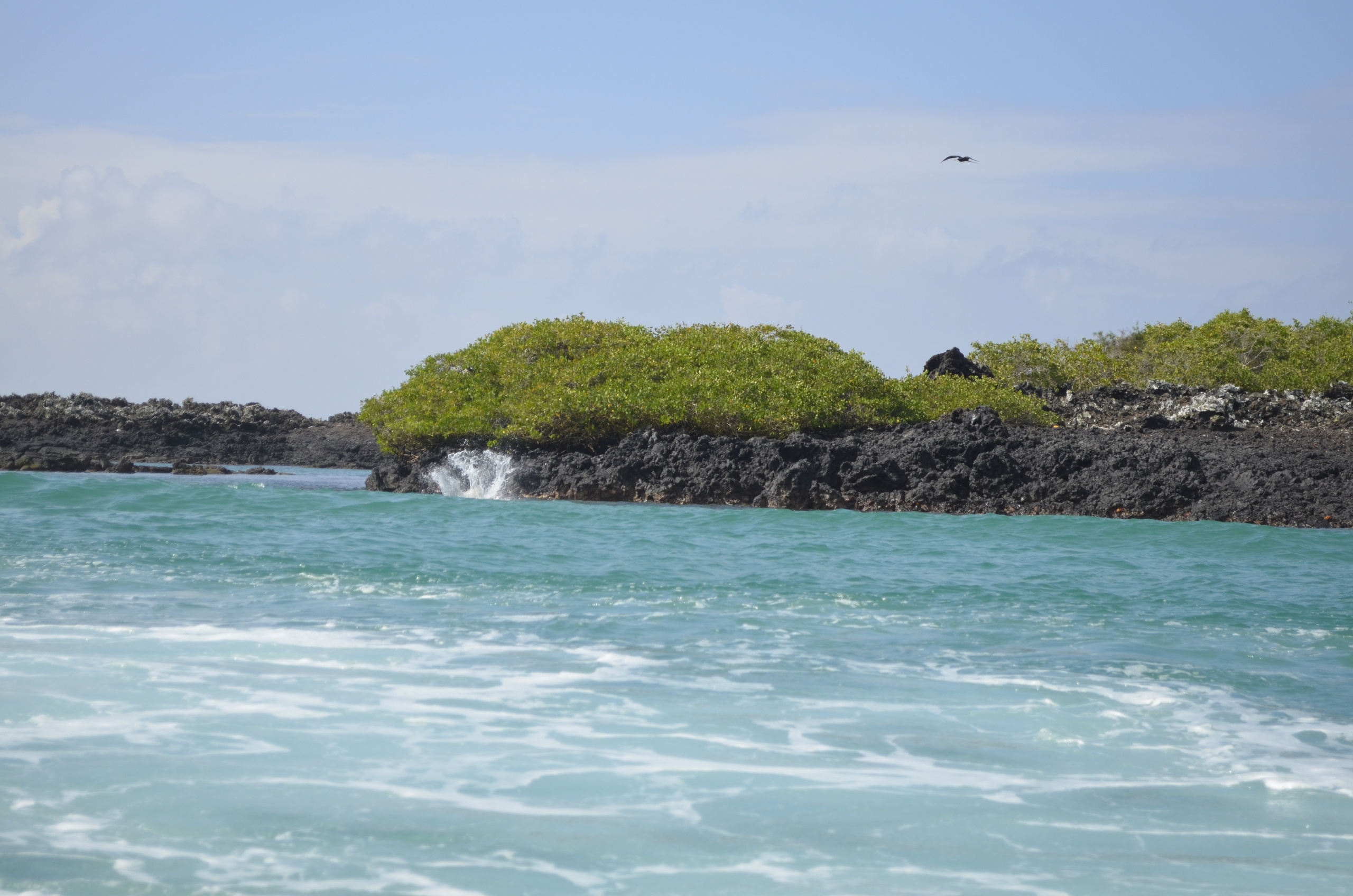 Galapagos 2017, Отчёт о путешествии на Галапагосские острова. Милок и Кирок это позитивные и реальные персоны из Люксембурга, много