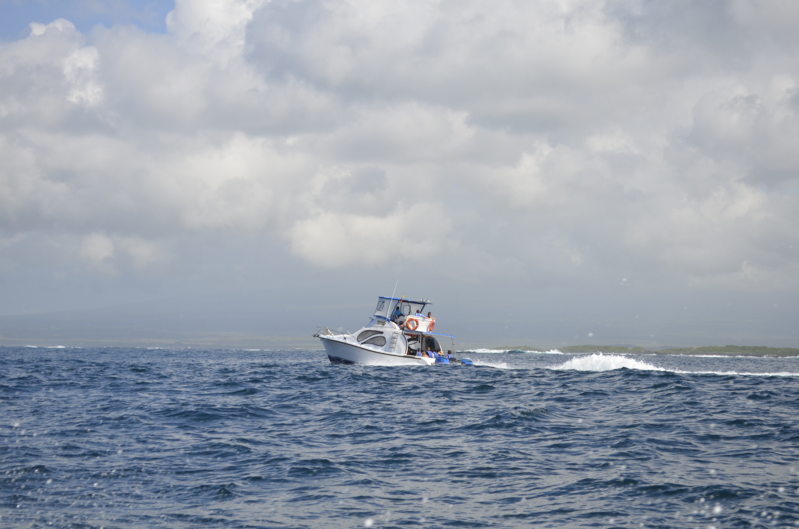 Galapagos 2017, Отчёт о путешествии на Галапагосские острова. Милок и Кирок это позитивные и реальные персоны из Люксембурга, много